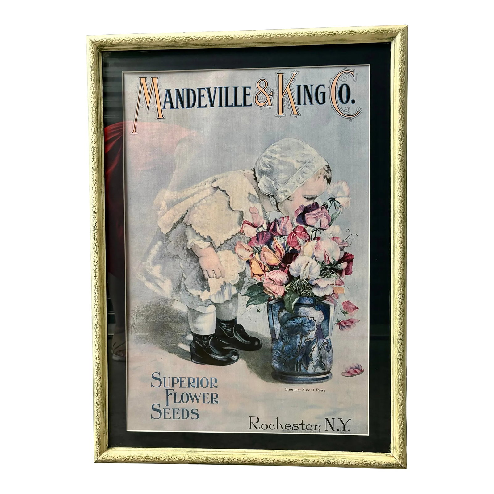 Mid 20th Century Mandeville & King Co Superior Flower Seeds Advertising Lithograph of Child With Spe: Beautiful framed vintage advertising lithograph print from Mandeville & King Co featuring a child with a bonnet smelling the Spencer sweet peas. Excellent condition and older frame. It has not been