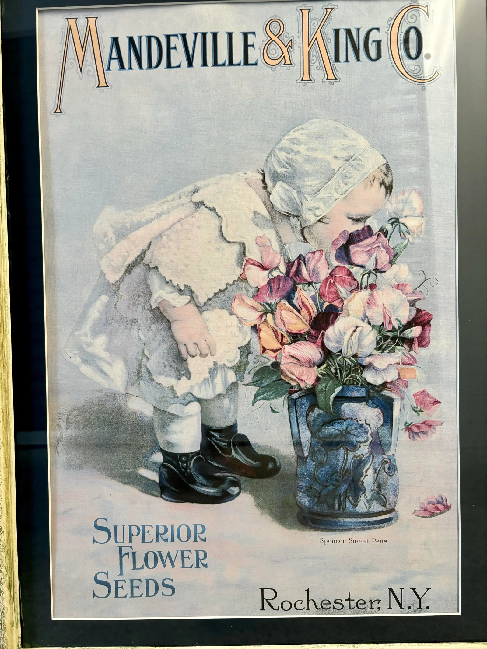 Mid 20th Century Mandeville & King Co Superior Flower Seeds Advertising Lithograph of Child With Spe - 2