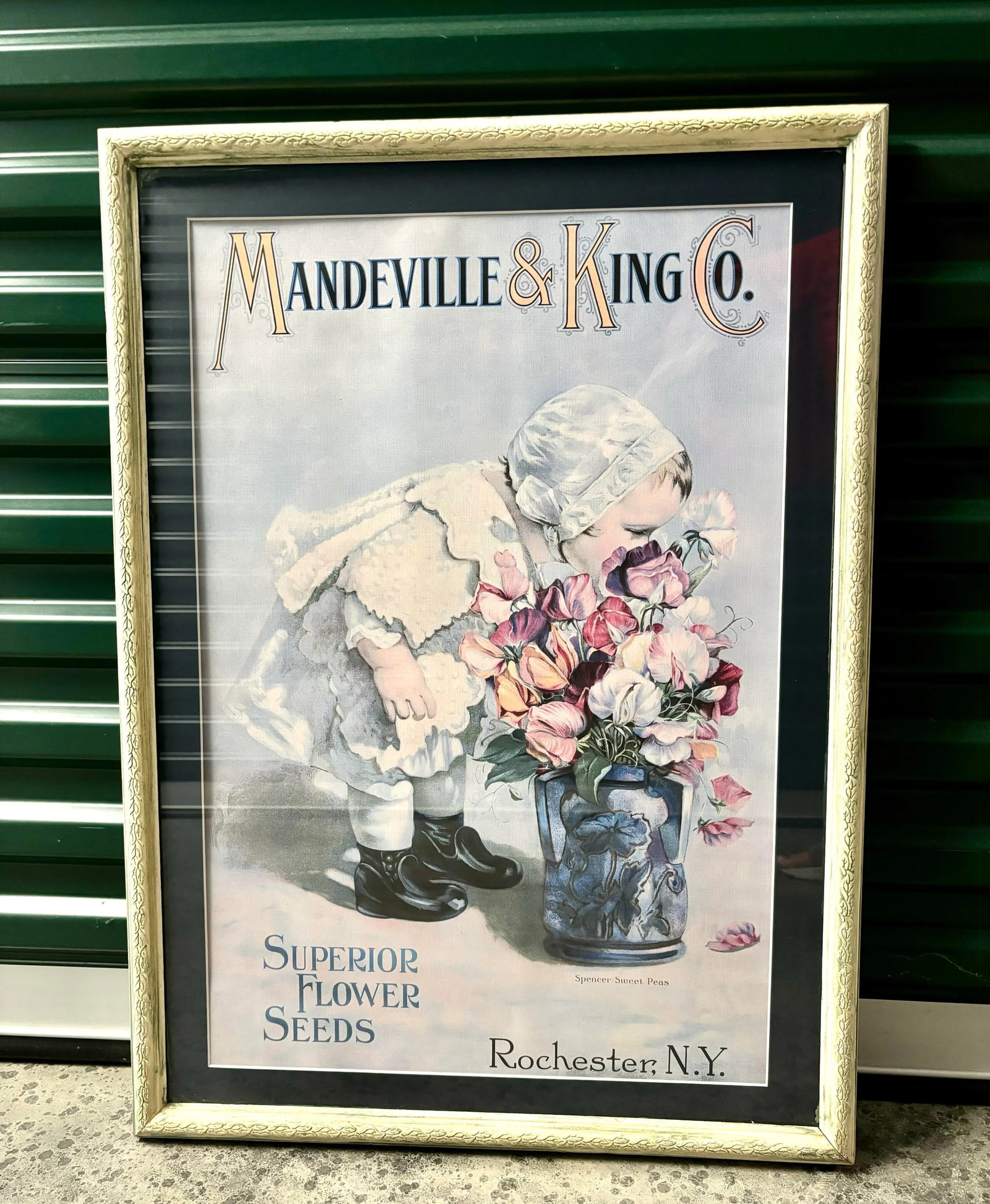 Mid 20th Century Mandeville & King Co Superior Flower Seeds Advertising Lithograph of Child With Spe - 3
