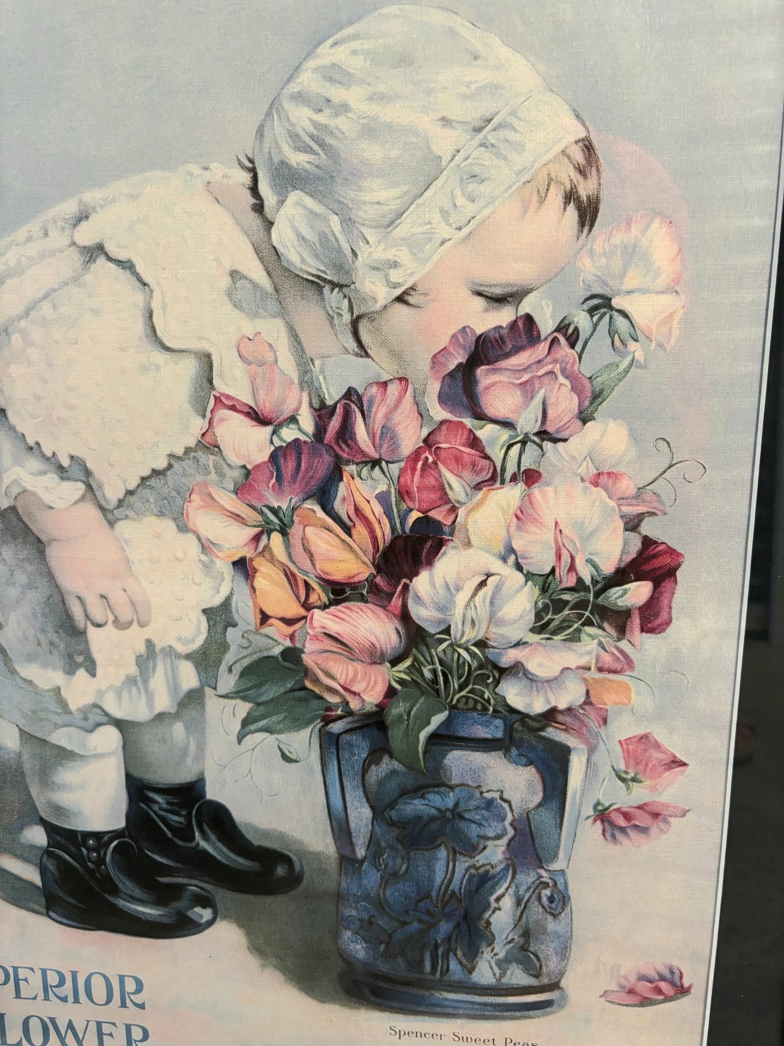 Mid 20th Century Mandeville & King Co Superior Flower Seeds Advertising Lithograph of Child With Spe - 4