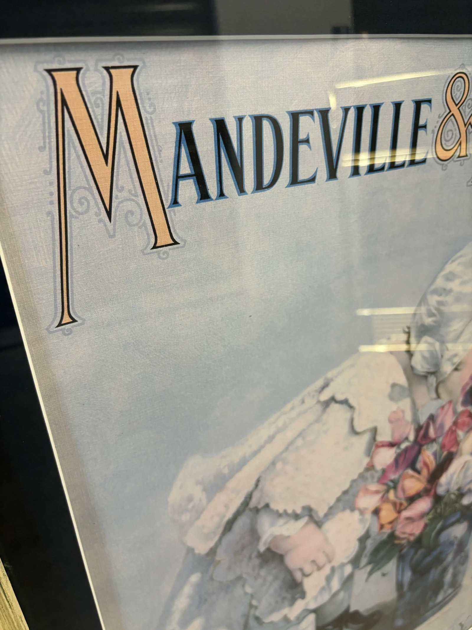 Mid 20th Century Mandeville & King Co Superior Flower Seeds Advertising Lithograph of Child With Spe - 5