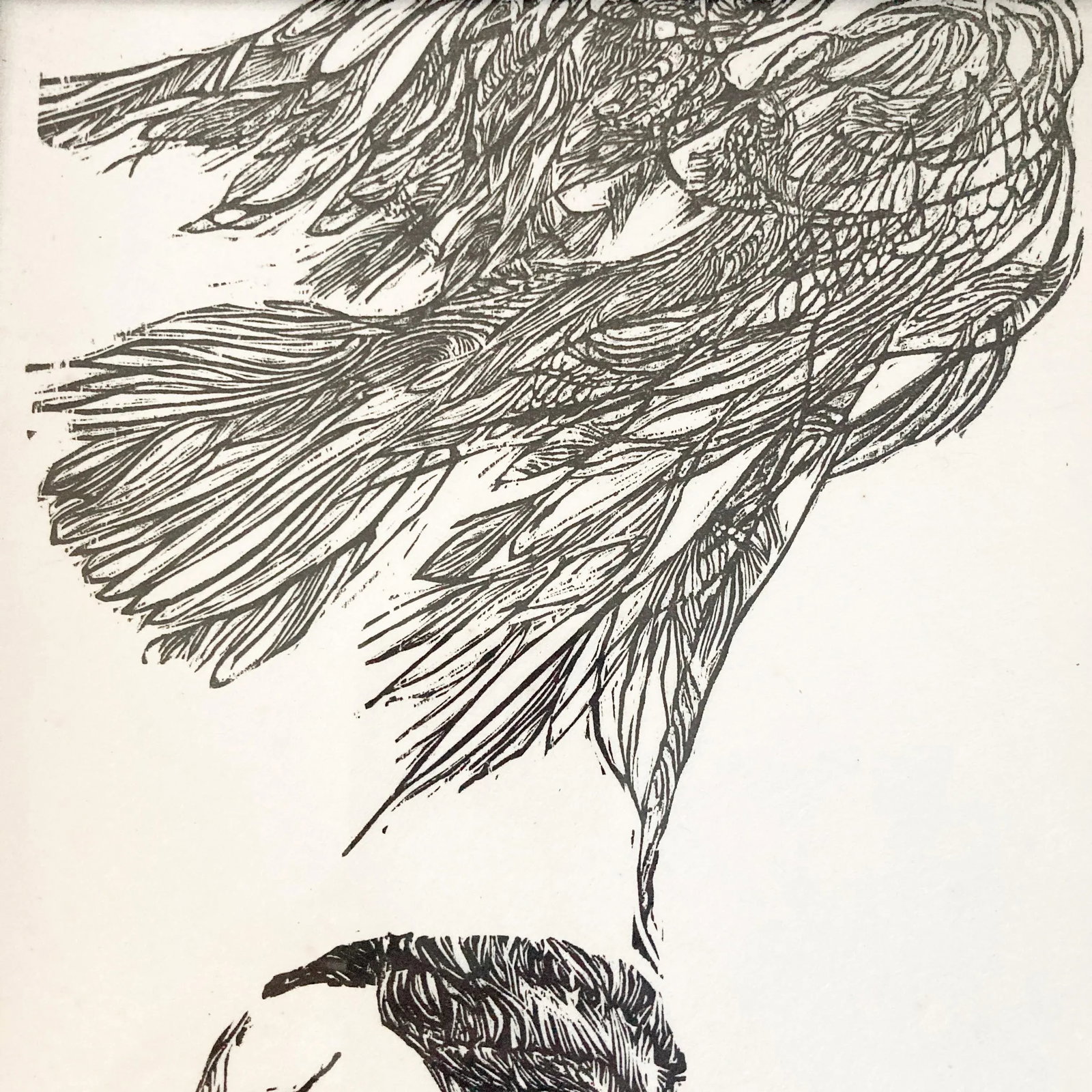 Jacob Landau Woodcut Titled 'T R' (Theodore Roosevelt) 1959 Signed and Numbered 42/50 - 5