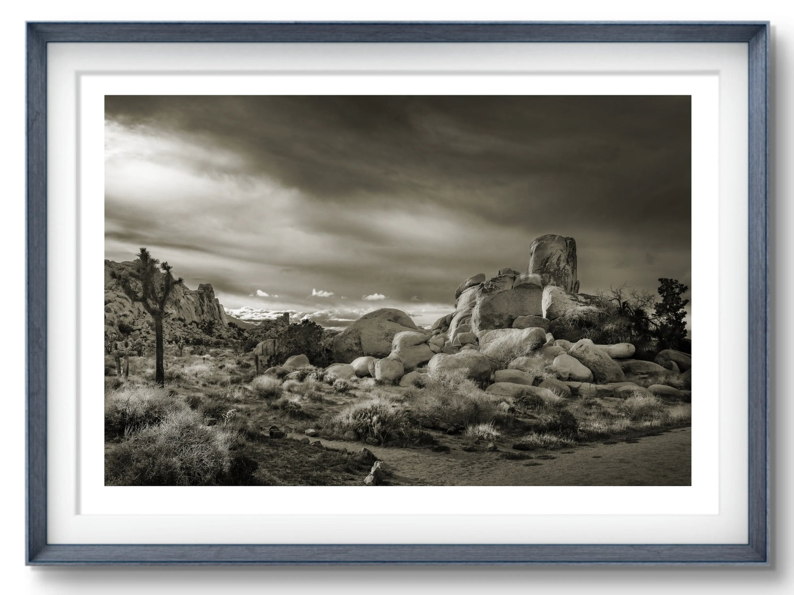 24" Signed Limited Edition Photographic Print by Glenn Daidone / Desertscape / Landscape / Black and - 2