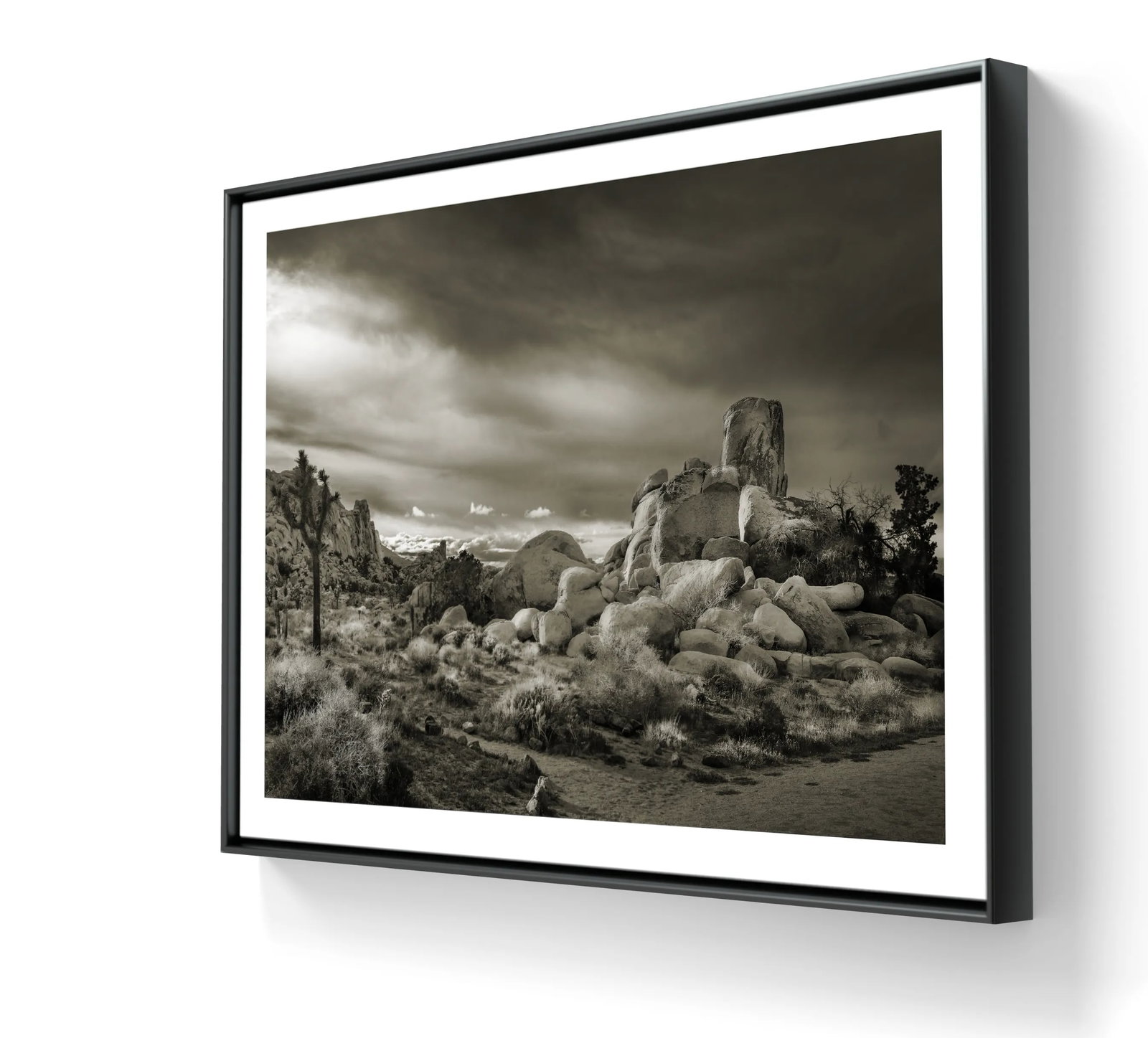 24" Signed Limited Edition Photographic Print by Glenn Daidone / Desertscape / Landscape / Black and - 3