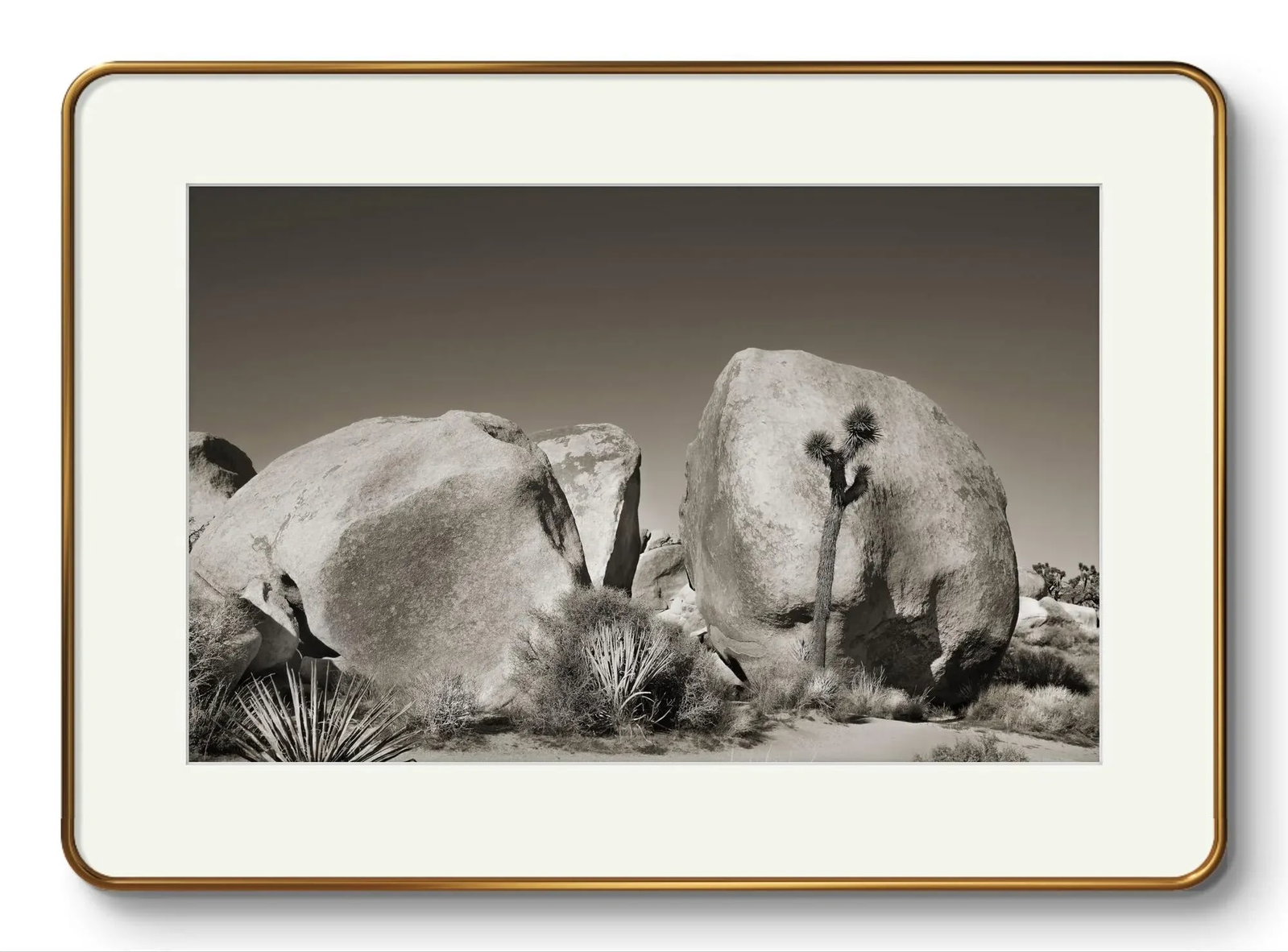 24" Signed Original Photograph by Glenn Daidone. Limited Edition Print on Archival Paper. Desertscap - 2