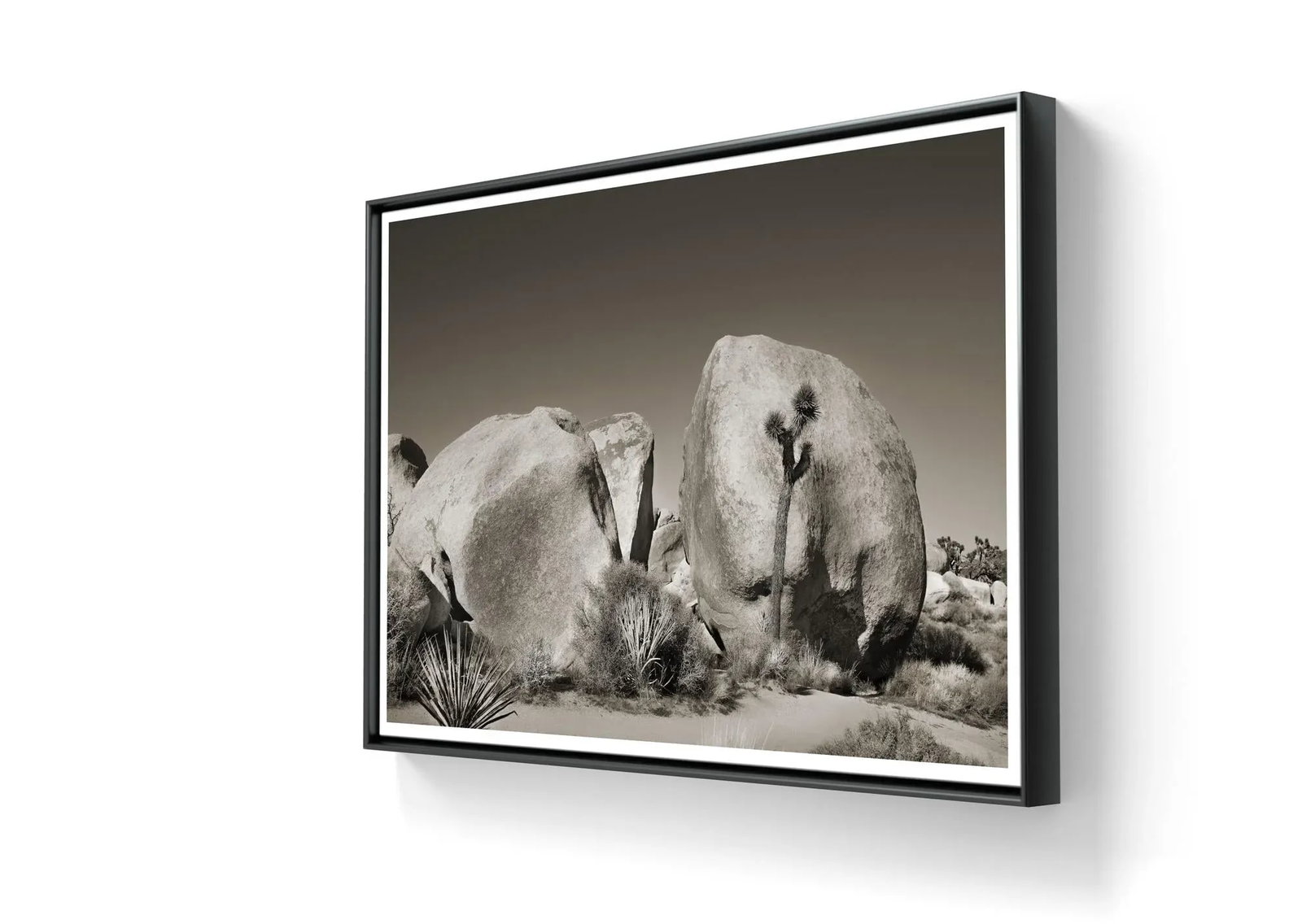 24" Signed Original Photograph by Glenn Daidone. Limited Edition Print on Archival Paper. Desertscap - 3