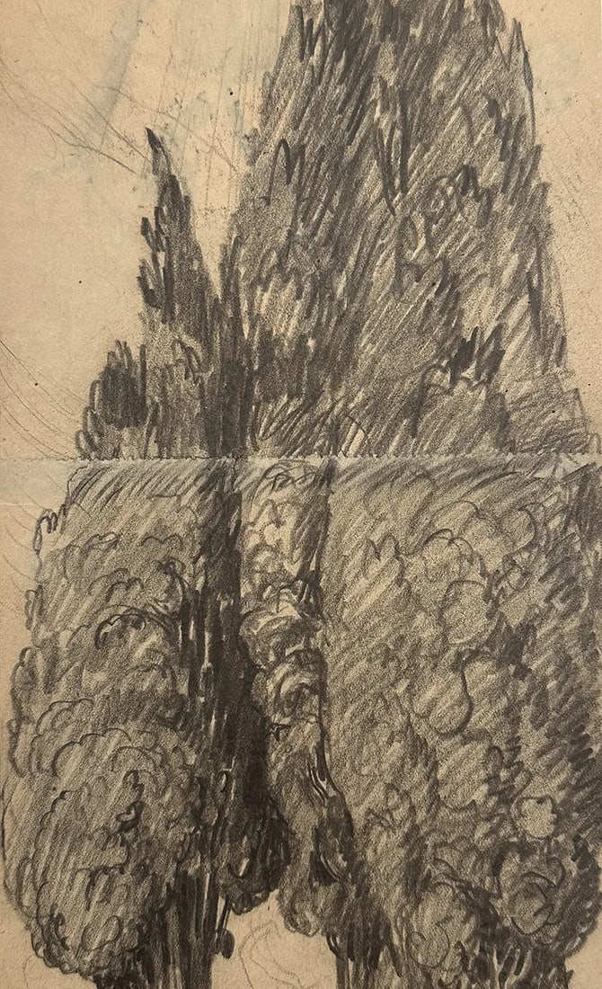 Early 1900's Antique French Charcoal Drawing of Cypress on Paper With Mat, Signed by French Artist M - 3