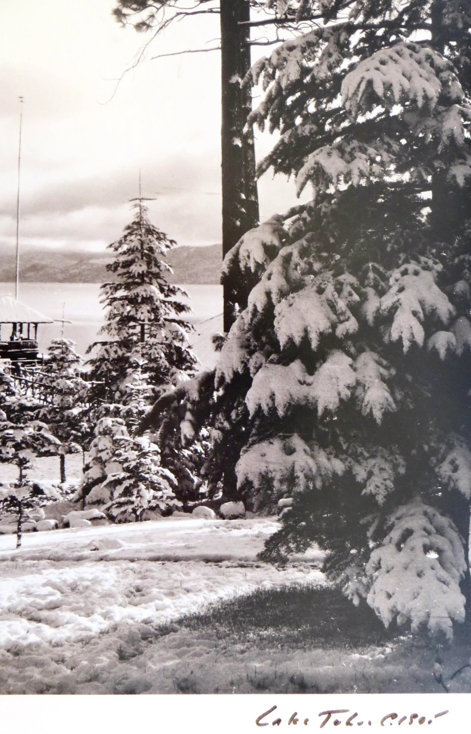 Original Vintage Photo of "Lake Tahoe With Snow and Trees" American, Dated 1905 - 3