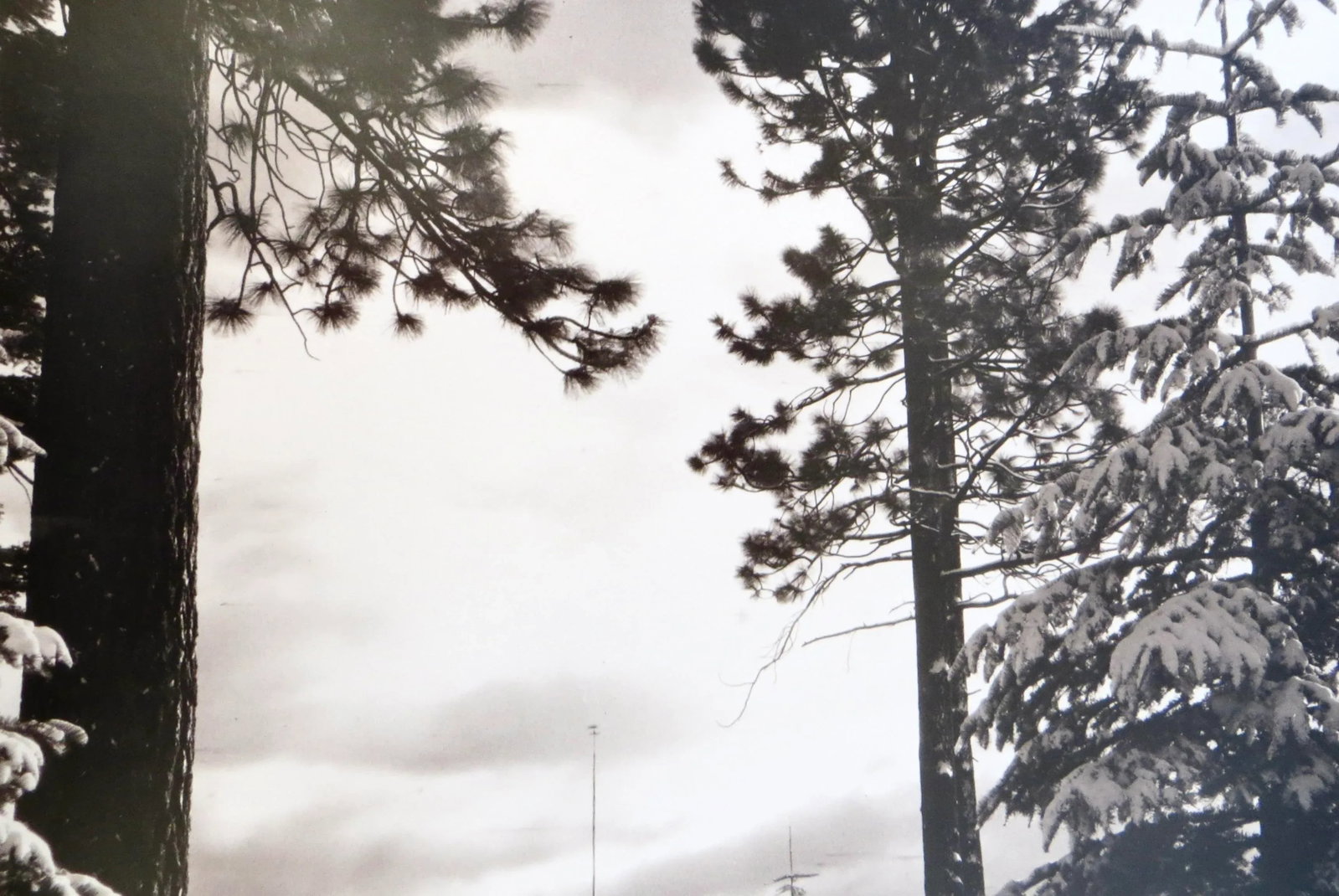 Original Vintage Photo of "Lake Tahoe With Snow and Trees" American, Dated 1905 - 4
