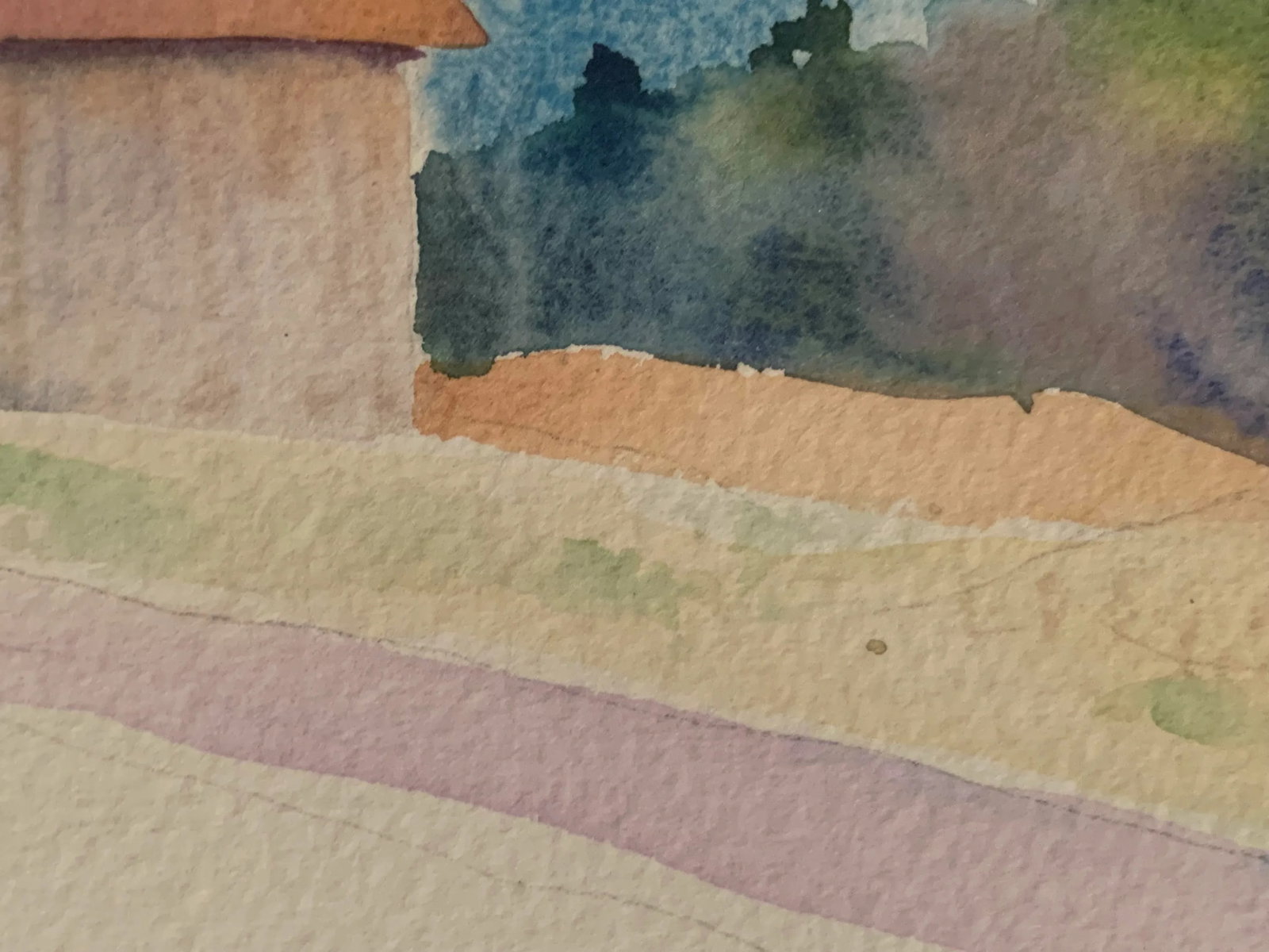 Watercolor by Paula Gottlieb, Framed - 6