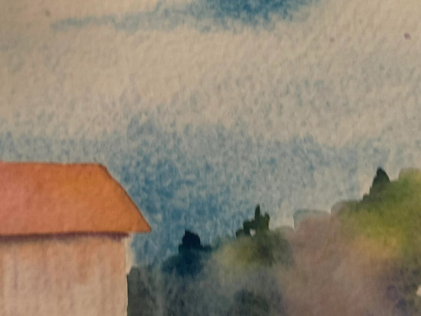Watercolor by Paula Gottlieb, Framed - 7