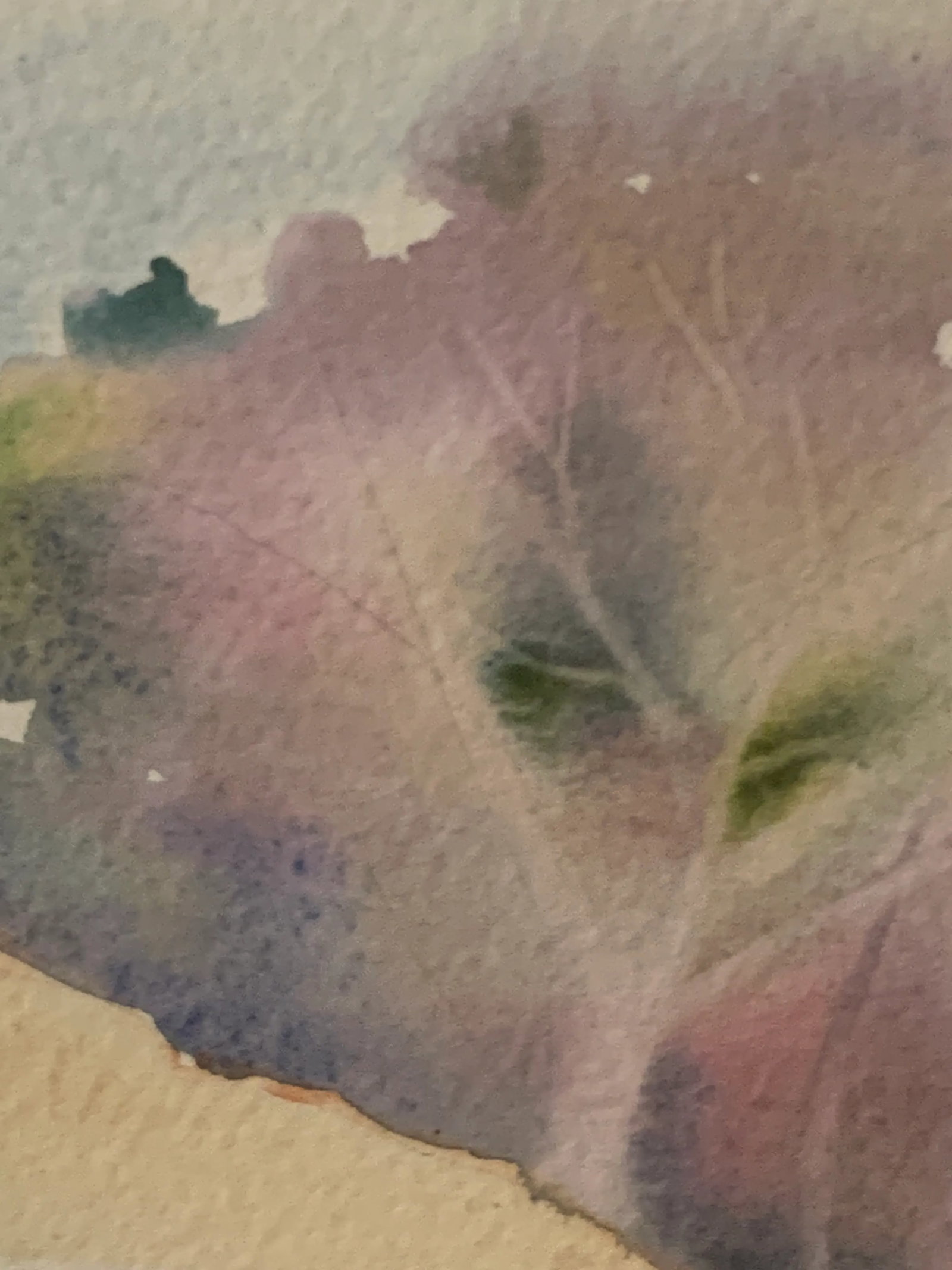Watercolor by Paula Gottlieb, Framed - 8