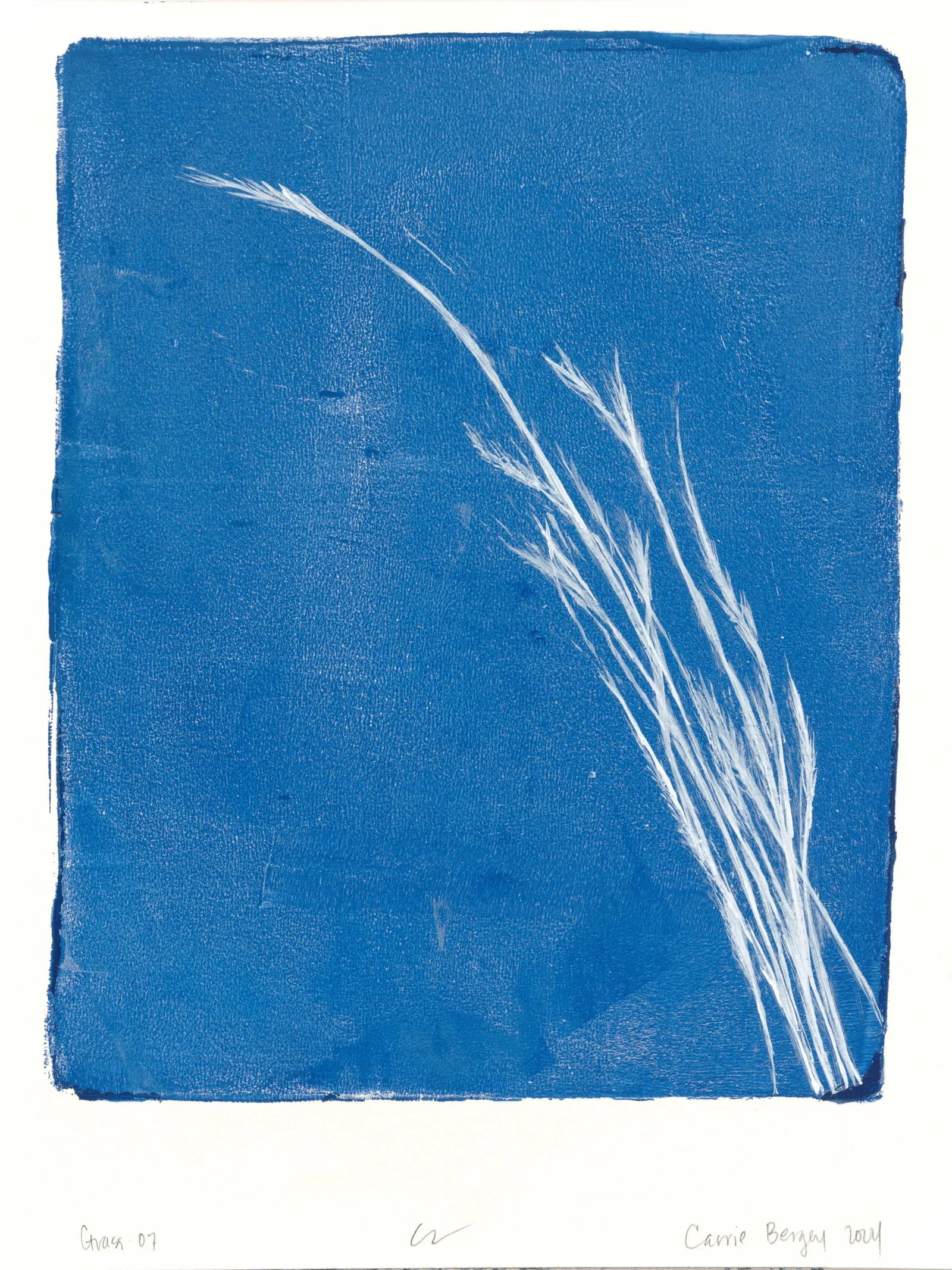 Grass Lobos Set 06-07 (2) 8*10 Monoprint Paintings Original Modern Abstract Art by Carrie Bergey - B - 3