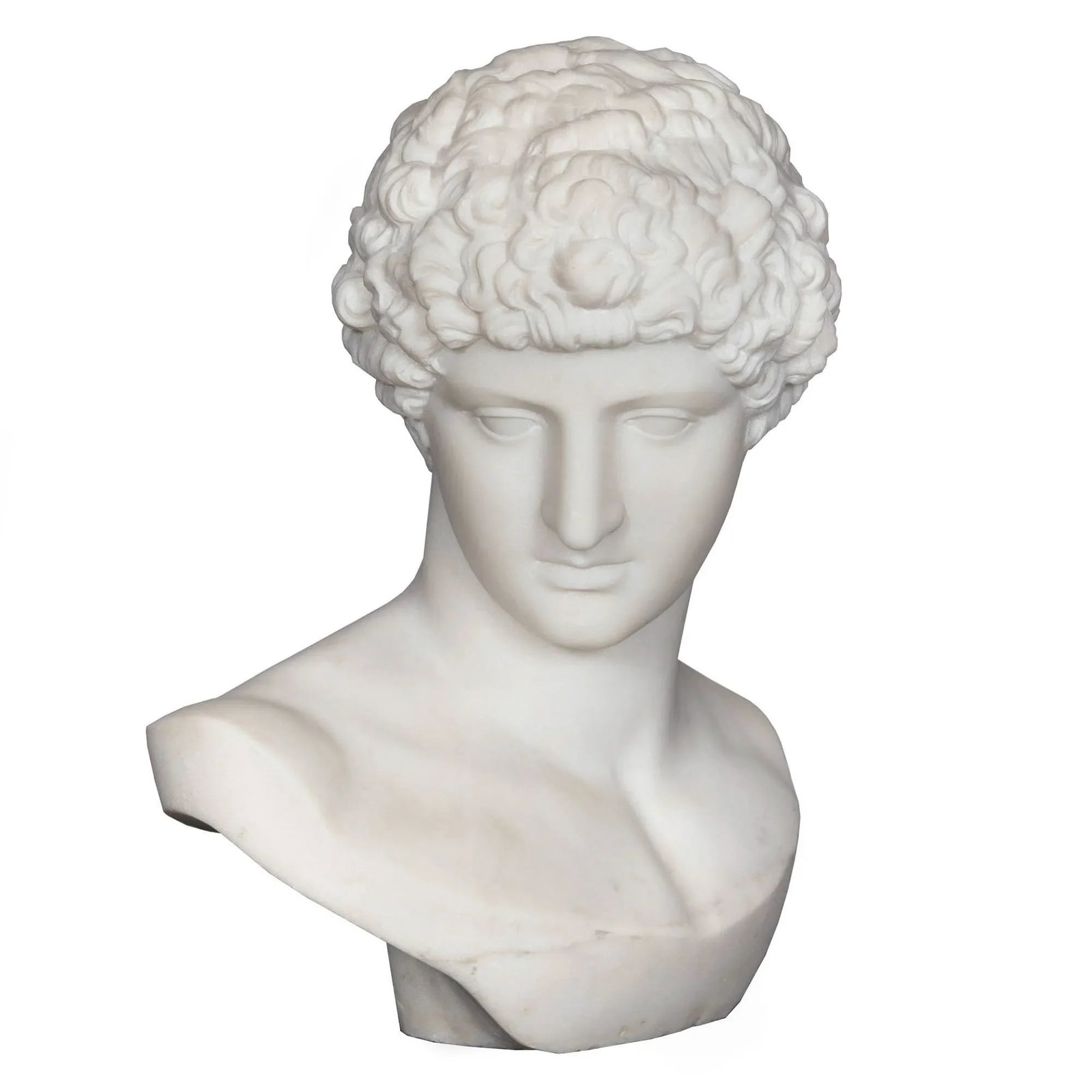 Grand Tour 19th Century Marble Bust of Antinous as Hermes by Filli Pugi - 3