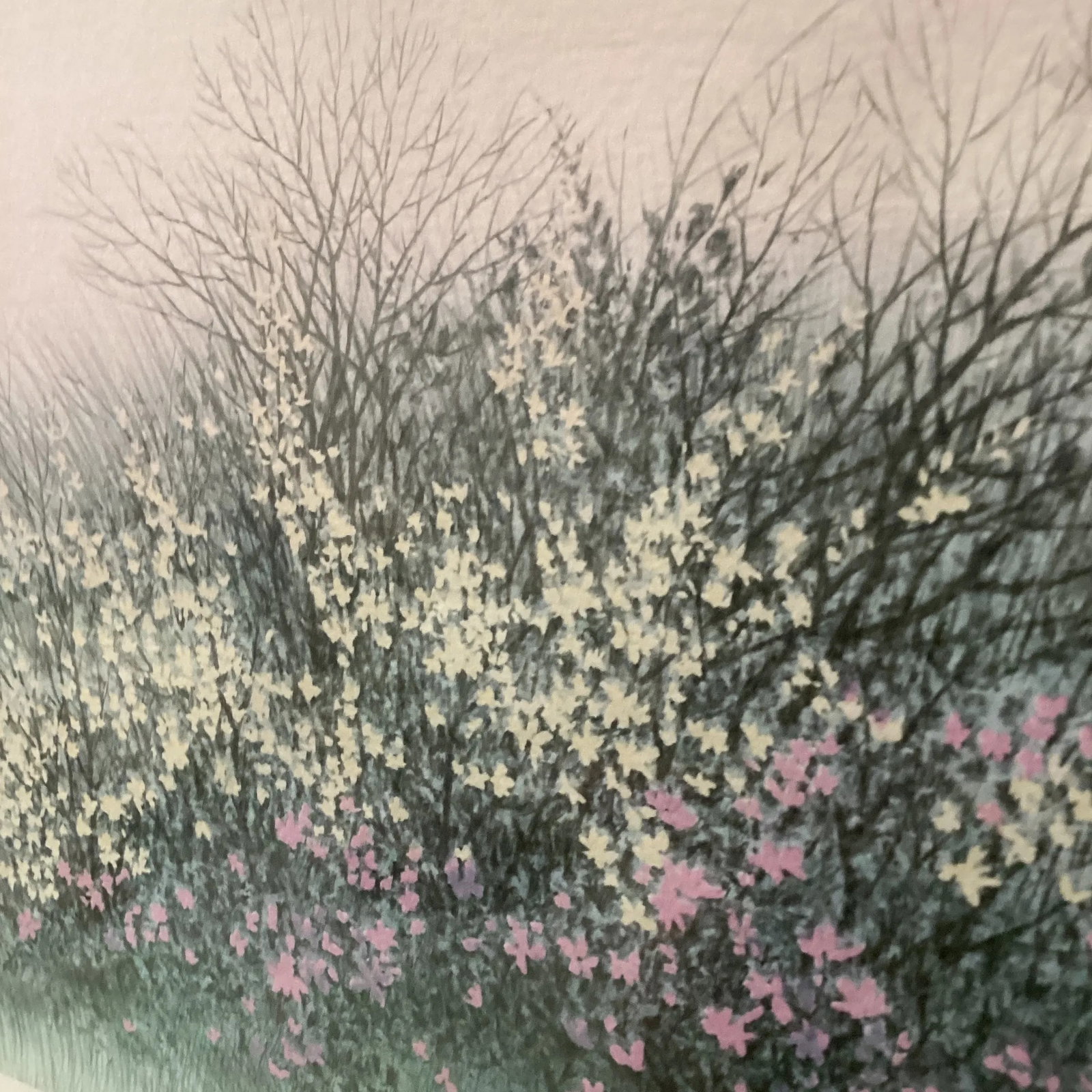 Vintage Original Lithograph Print " Reflection II " by Arnold Alaniz Signed - 6