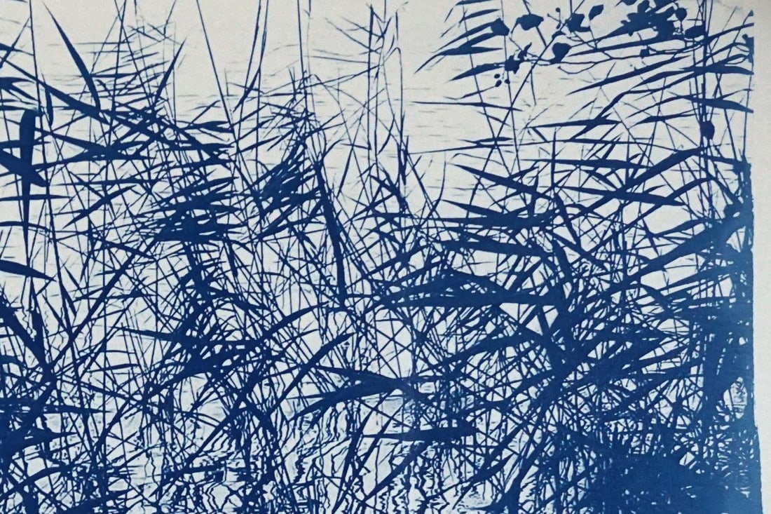 Contemporary Cyanotype on Watercolor Paper, "Mystic Louisiana Marsh" - 4