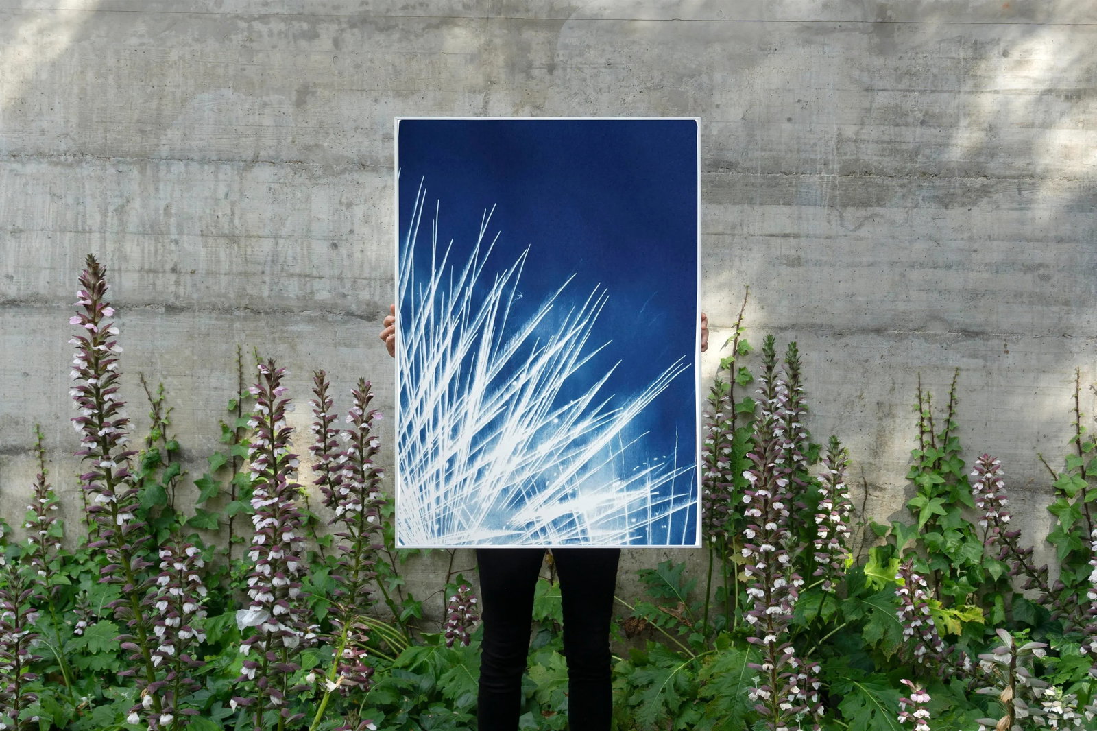 Handmade Cyanotype Print of Abstract Nighttime Fireworks Flaring - 7