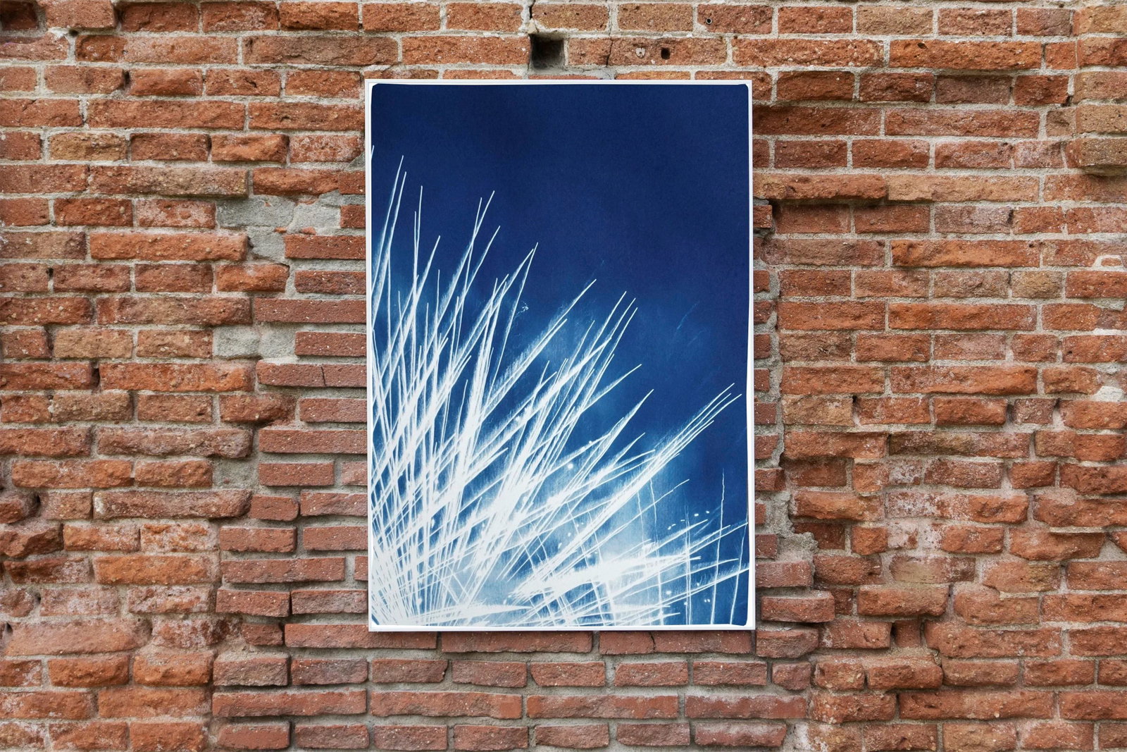 Handmade Cyanotype Print of Abstract Nighttime Fireworks Flaring - 9