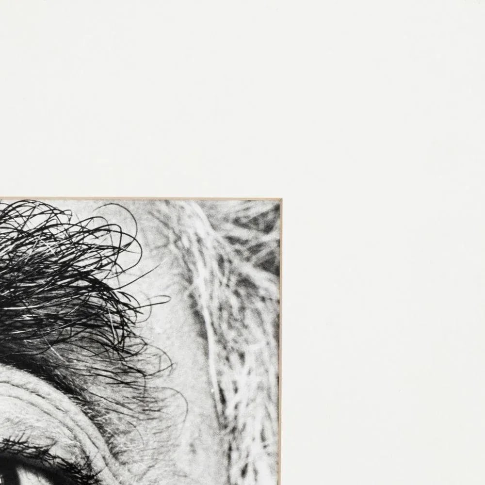 Anne Sager "The Eye of Eisenstaedt" Photo Collage - 3