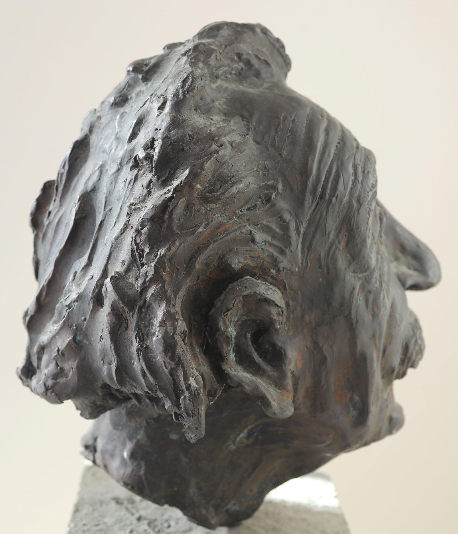 Heavy - Heli Pakarinen Albert Einstein Bronze Bust - 2