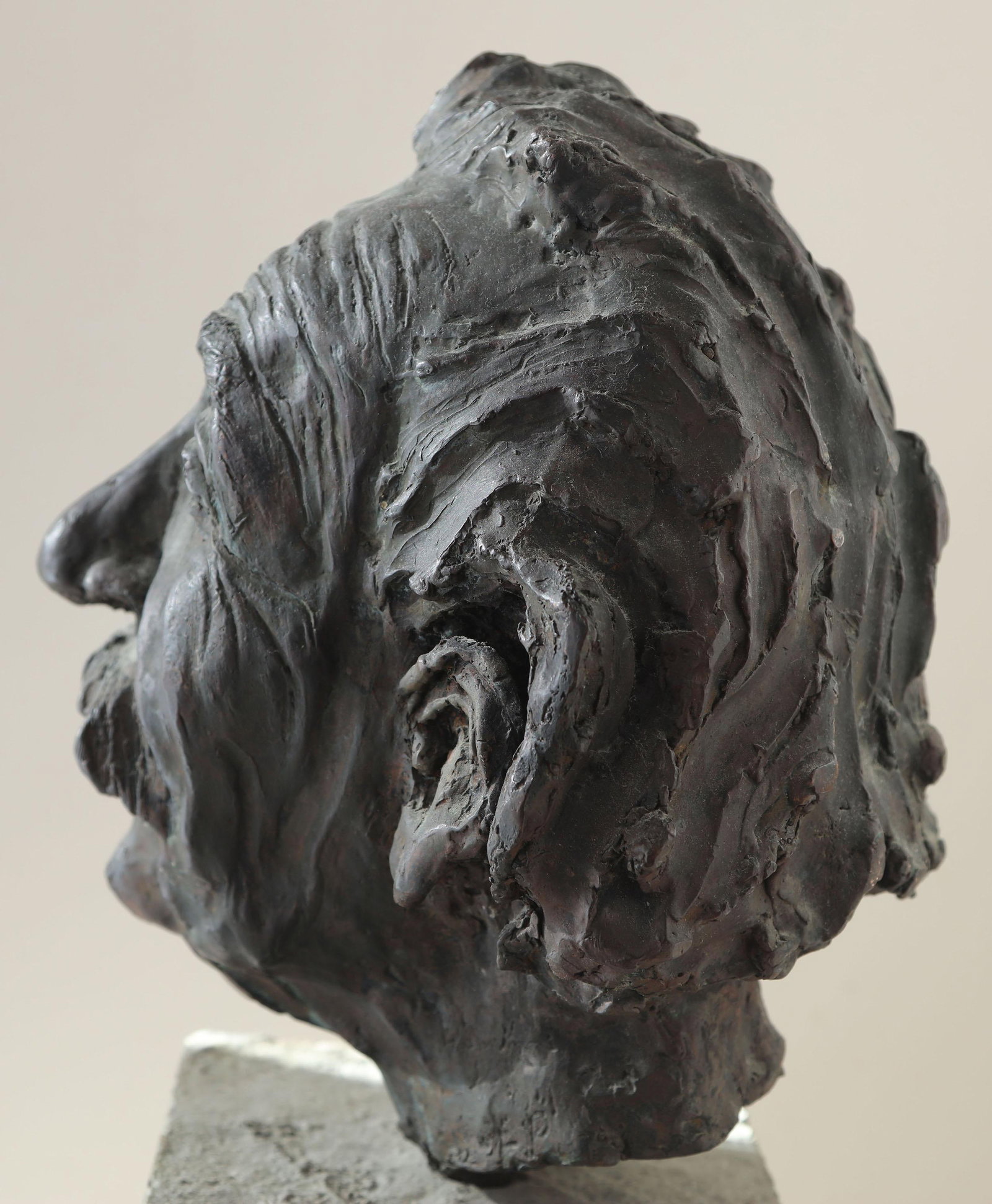 Heavy - Heli Pakarinen Albert Einstein Bronze Bust - 3