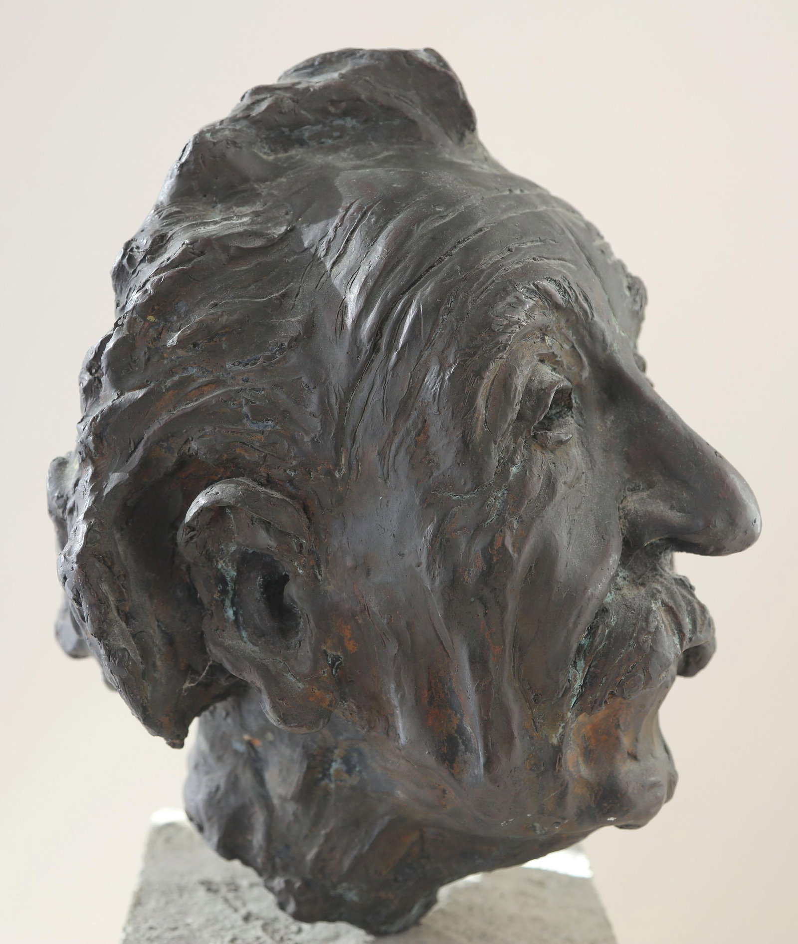 Heavy - Heli Pakarinen Albert Einstein Bronze Bust - 5