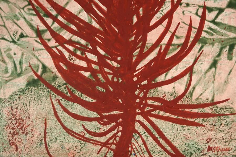 Plant Portraits - Diva Al Fresco Painting - 4