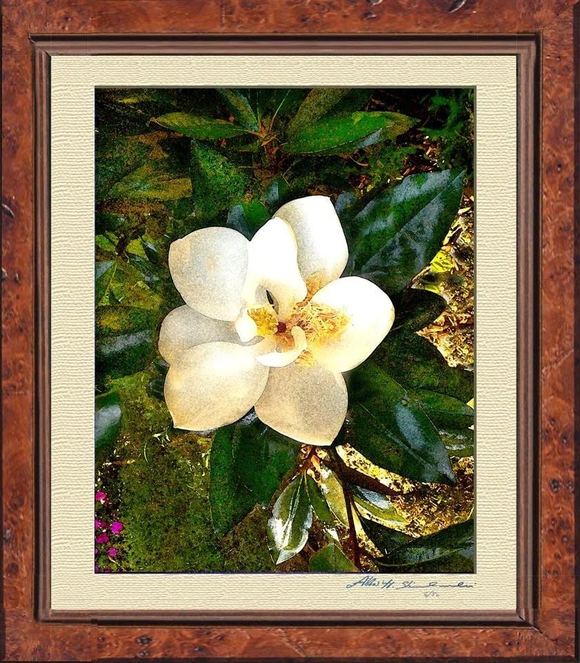 The Smiling Magnolia - 2
