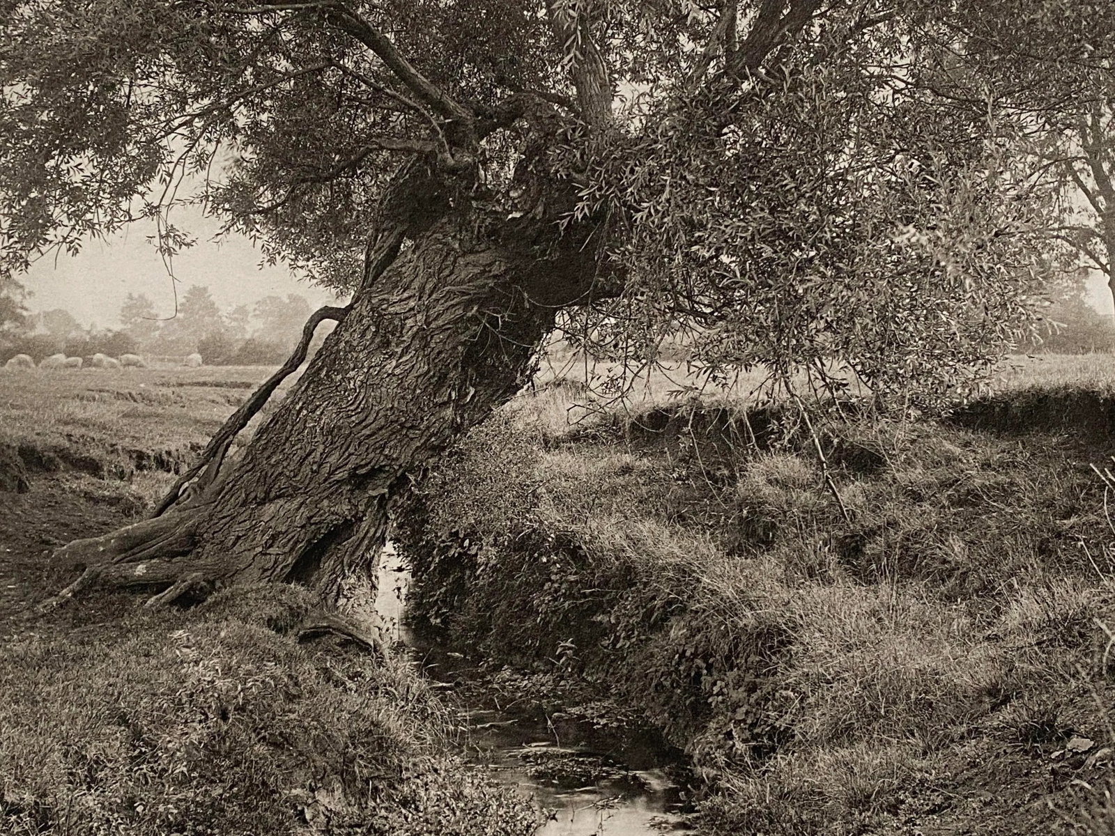 Late 19th Century "The Homes and Haunts of William Shakespeare" Photogravure (1 of 4)