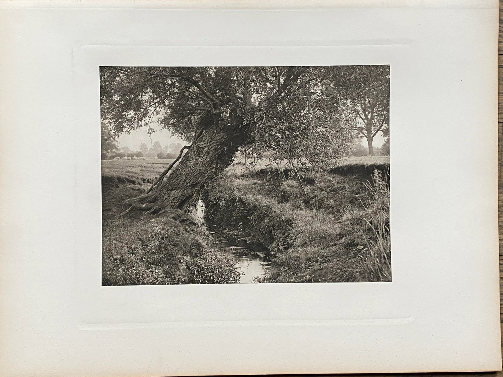 Late 19th Century "The Homes and Haunts of William Shakespeare" Photogravure - 2
