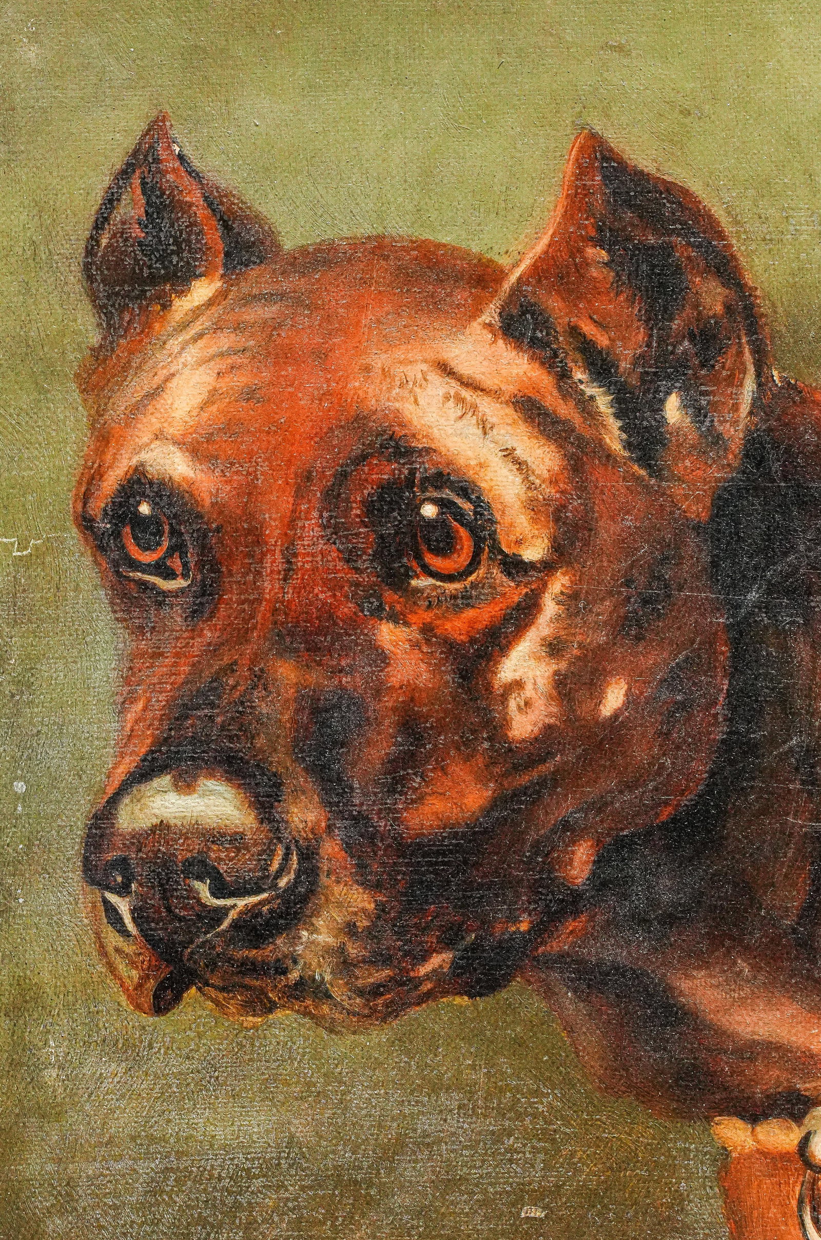 Captivating Detailed Portrait of Pit Bull Dog Pet Antique Framed Oil Painting Wall Home Decor - 4