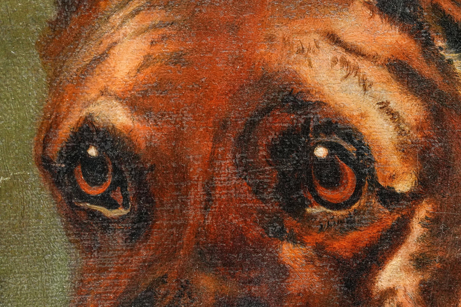 Captivating Detailed Portrait of Pit Bull Dog Pet Antique Framed Oil Painting Wall Home Decor - 5