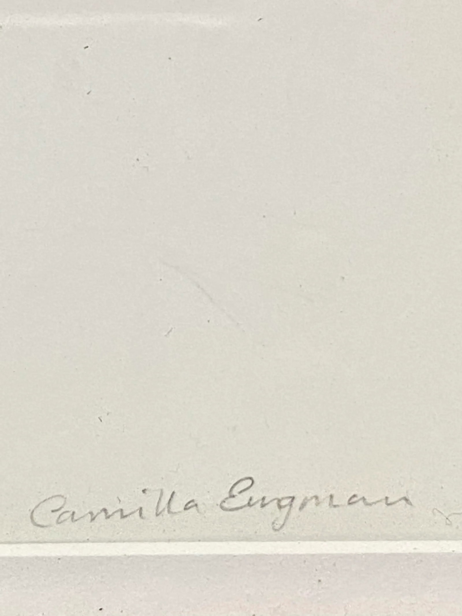 Limited Edition Surrealist Pencil Signed Illustration by Camilla Engman - 6