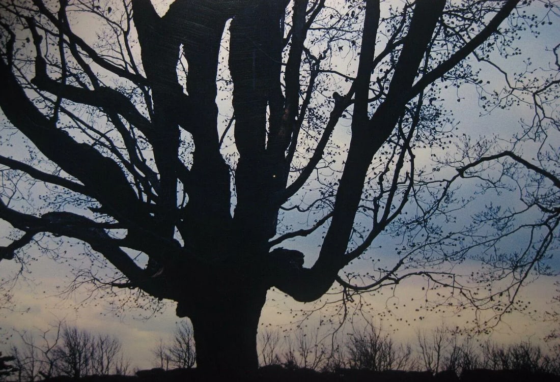 1962 Sugar Maple Photo by Daniel Farber - 3