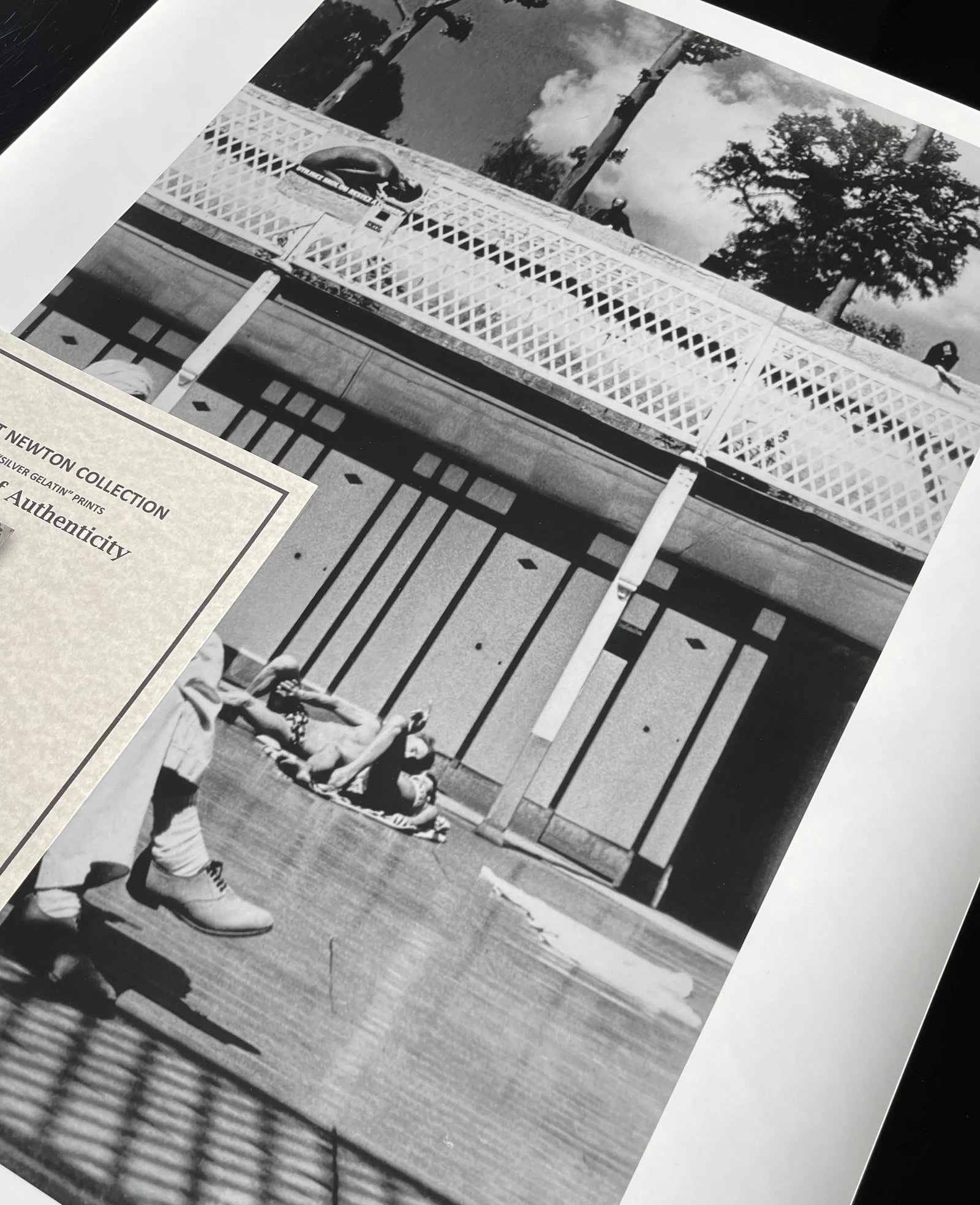 David Hockney, Piscine Royale, Paris 1975 Vintage Silver Gelatin Print by Helmut Newton - 4