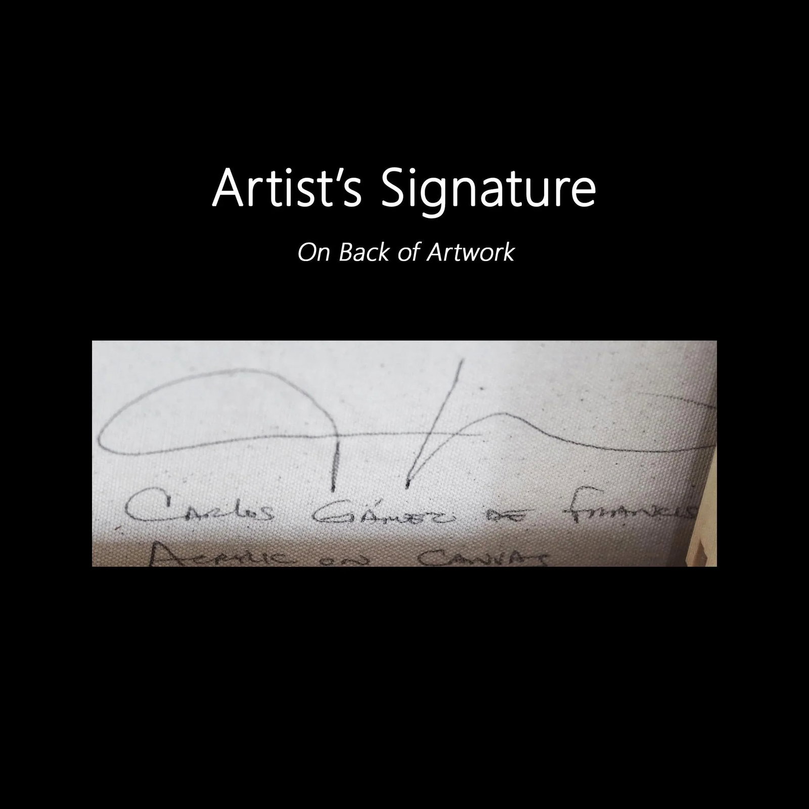 The Top Songbirds Original Artwork by Carlos Gamez De Francisco - 11