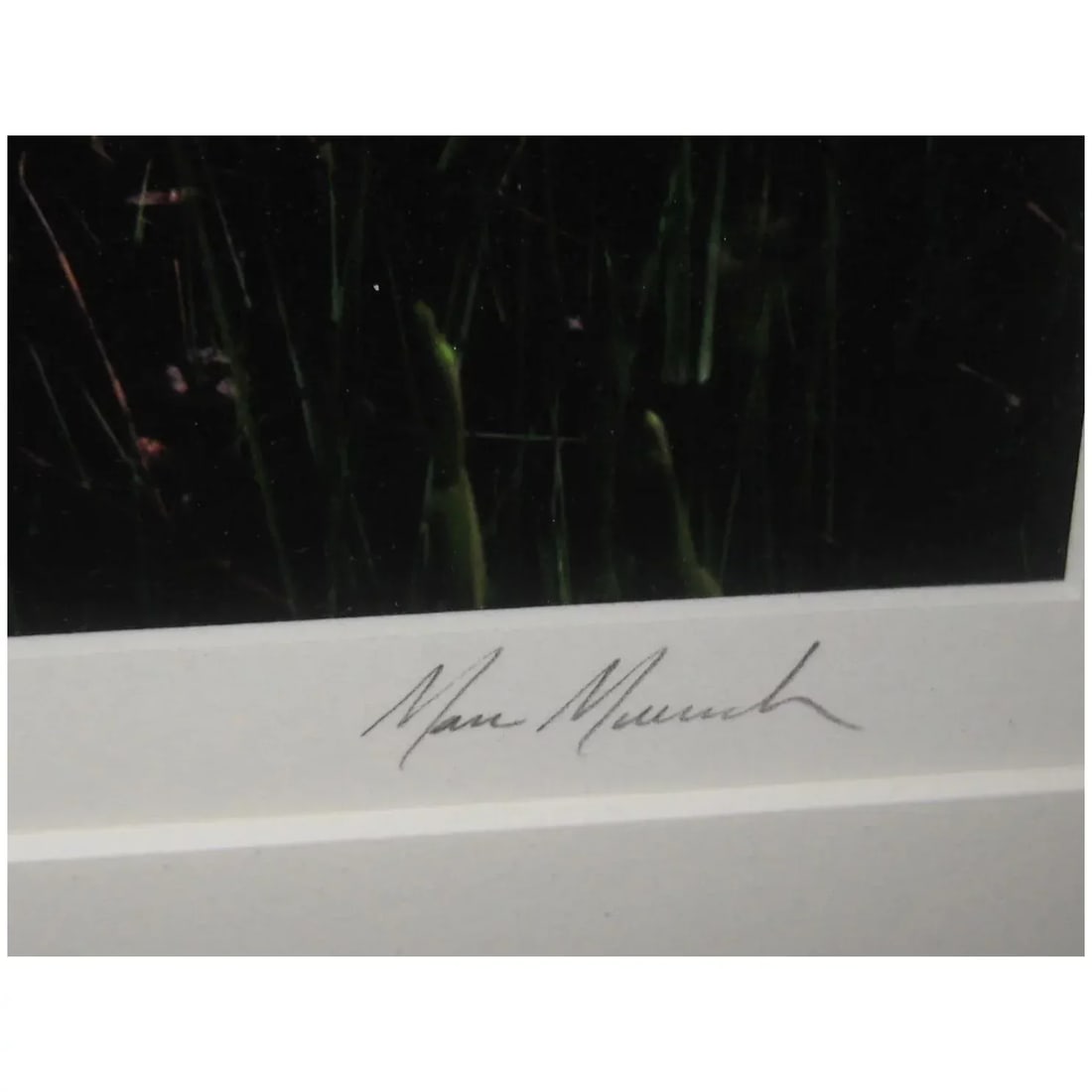 Fine Marc Muench 'El Capitan Reflections' Yosemite Signed Photograph - 3