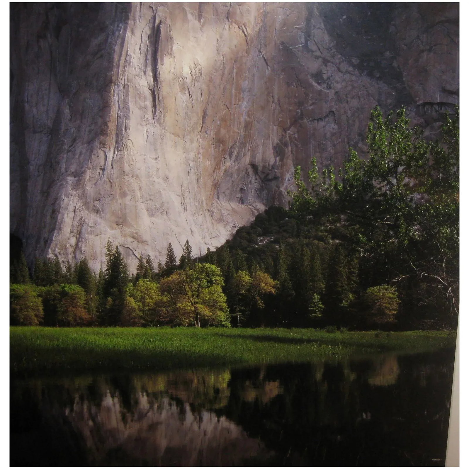 Fine Marc Muench 'El Capitan Reflections' Yosemite Signed Photograph - 7