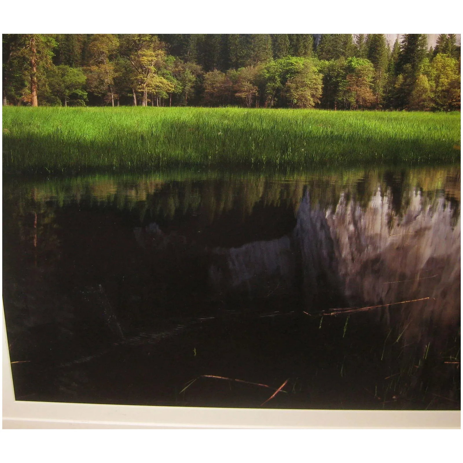 Fine Marc Muench 'El Capitan Reflections' Yosemite Signed Photograph - 8