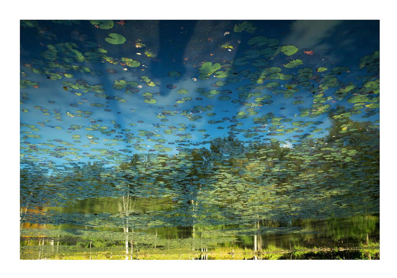 Reflection 32 Landscape Photograph - 2