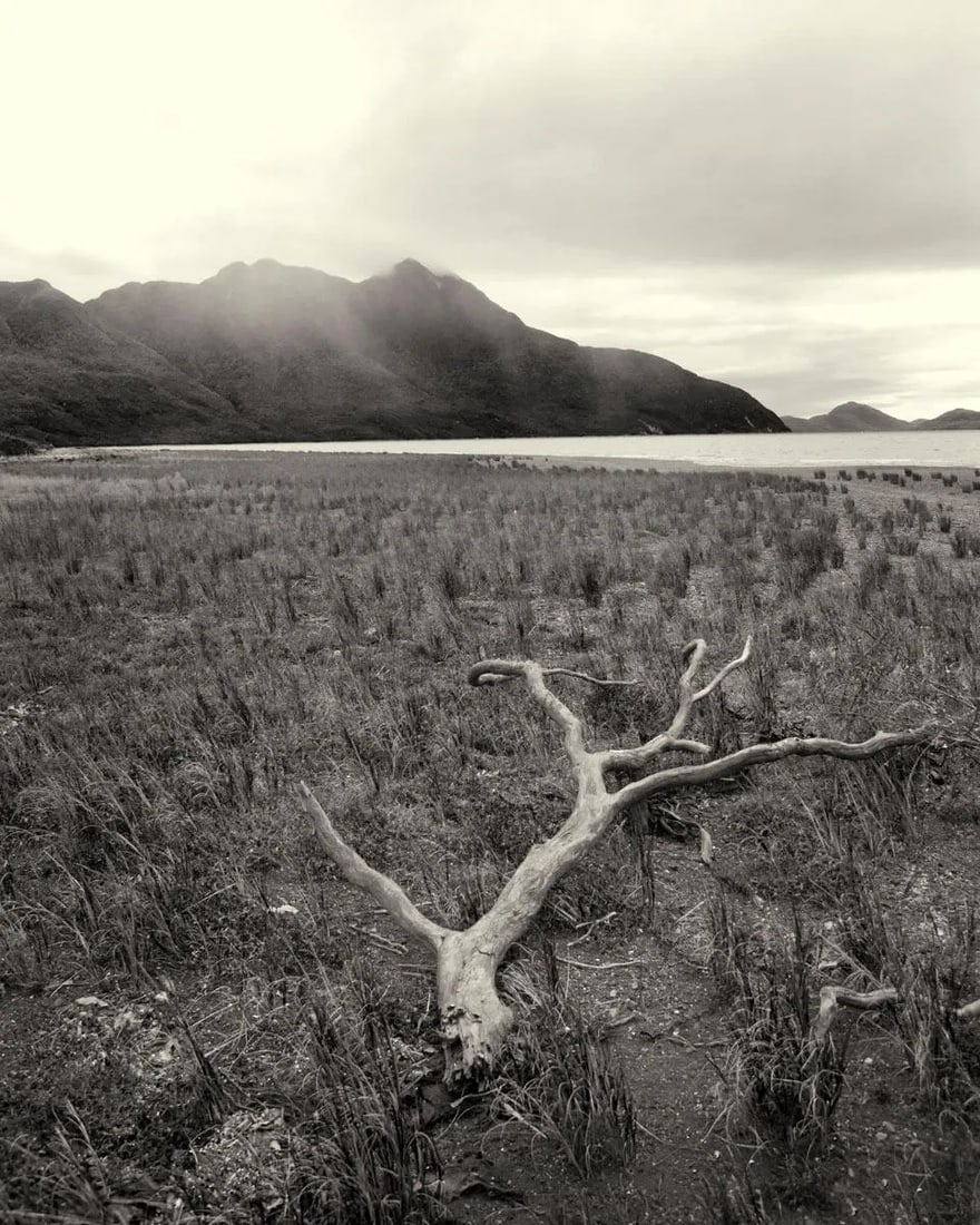 Patagonia 6 Black & White Photograph: B7W Photograph of harbor in Patagonia Chile. Printed on Archival matt paper. Size is 24"x 30" but can be also be printed in different sizes. Condition: Condition Notes: Excellent - Minor wear