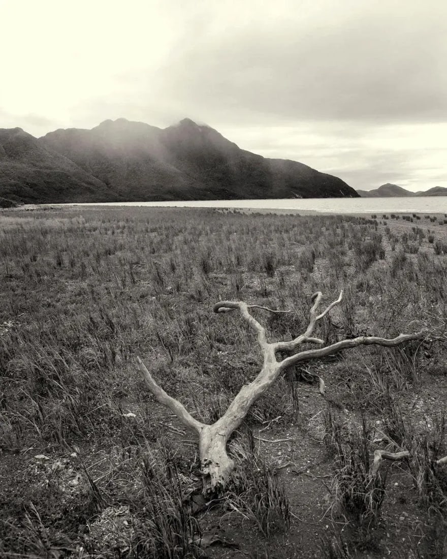 Patagonia 6 Black & White Photograph - 2