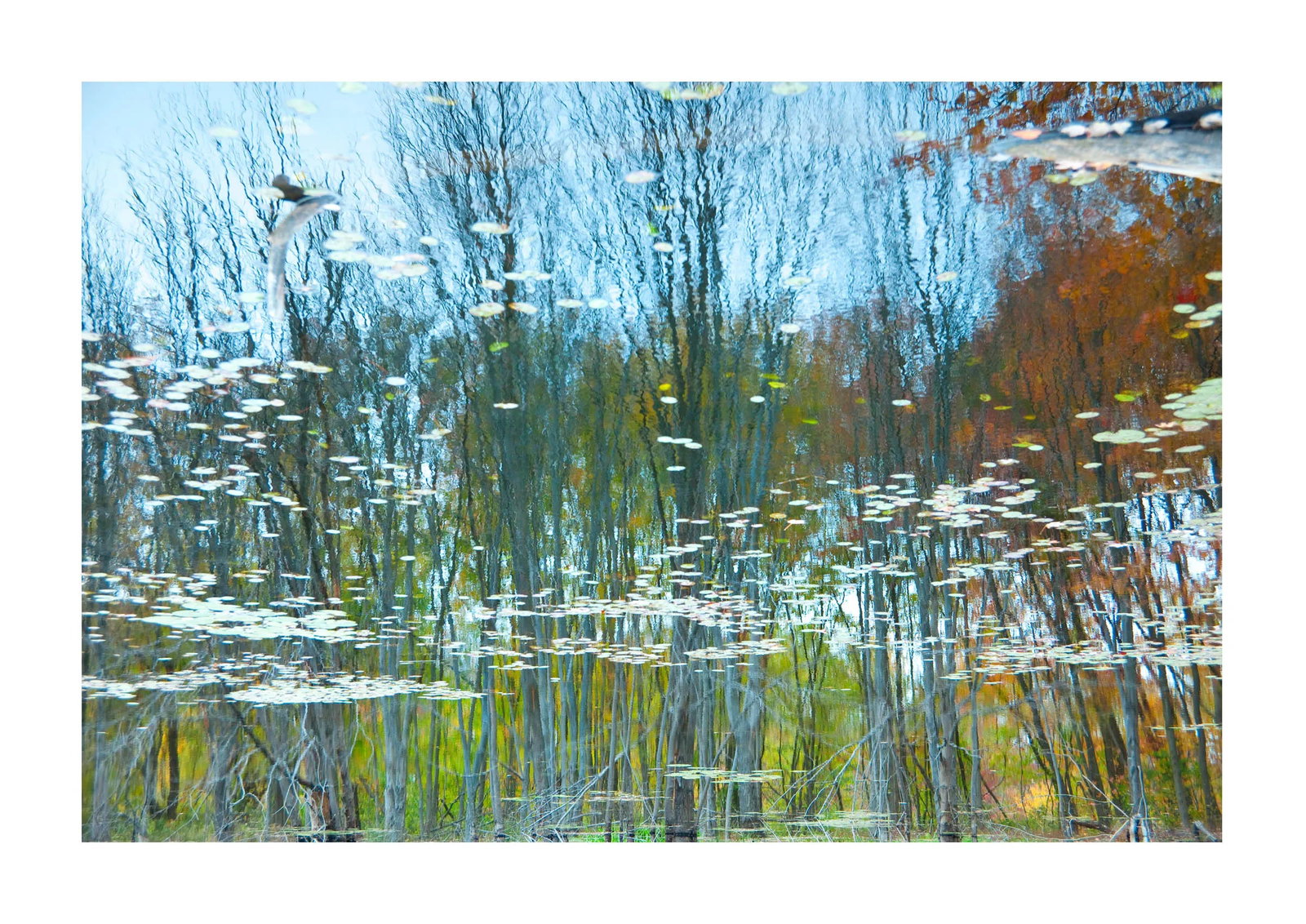 Reflection 1 Landscape Photograph - 2