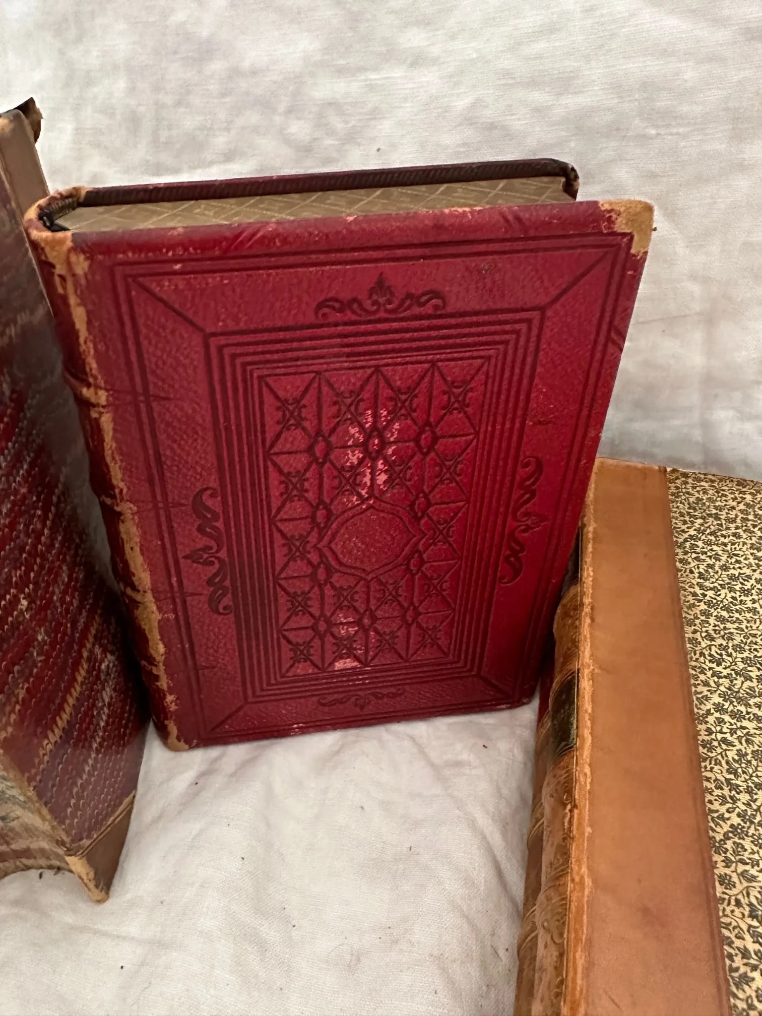 Antique 19th C. Collection of Leather Bound Books-A Set - 3
