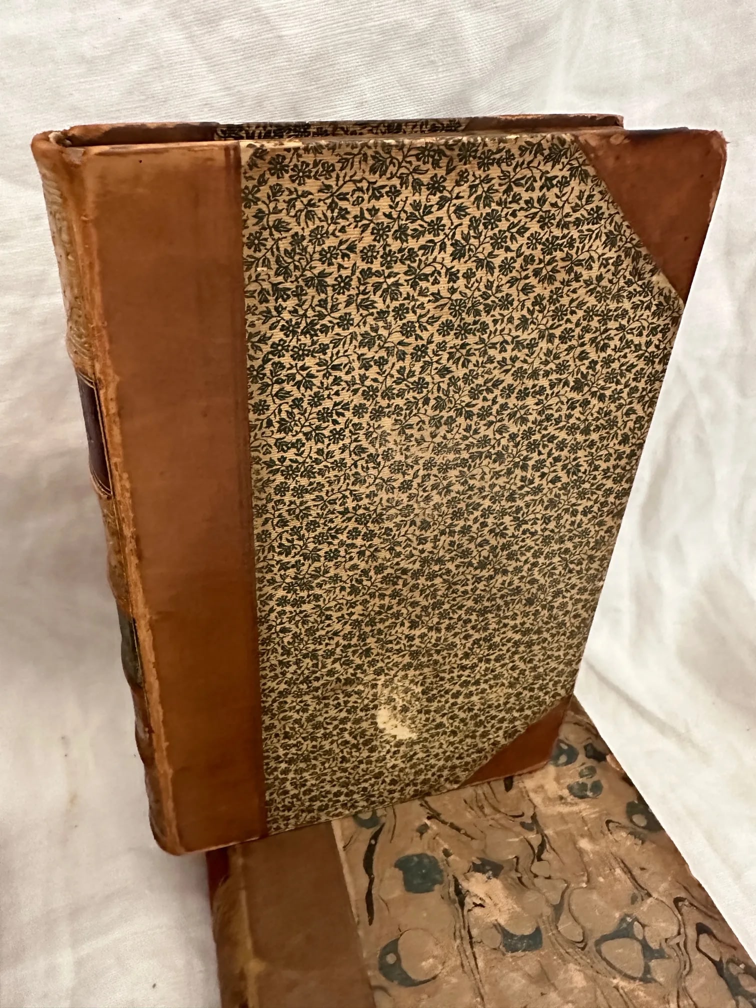 Antique 19th C. Collection of Leather Bound Books-A Set - 4