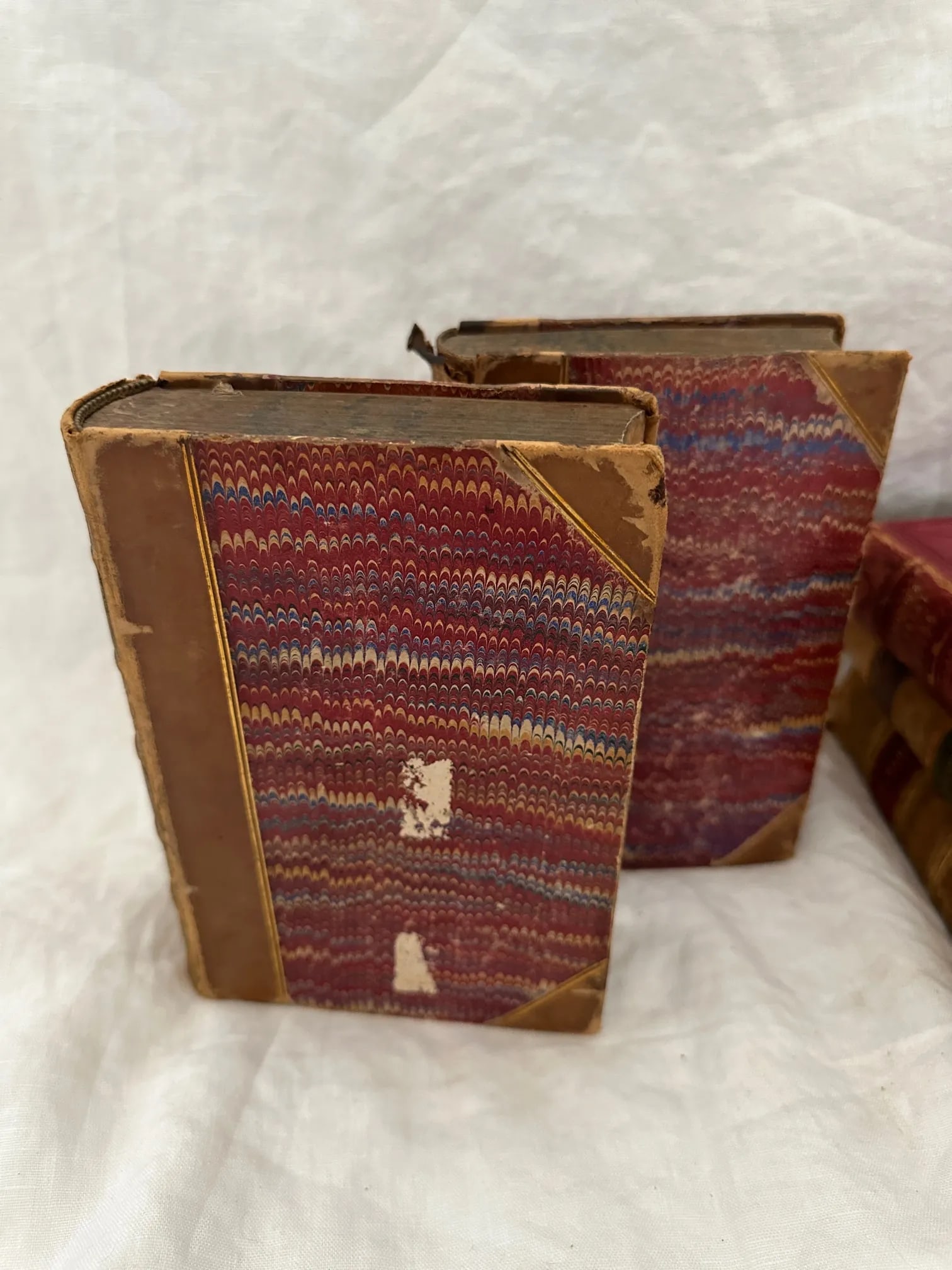 Antique 19th C. Collection of Leather Bound Books-A Set - 7
