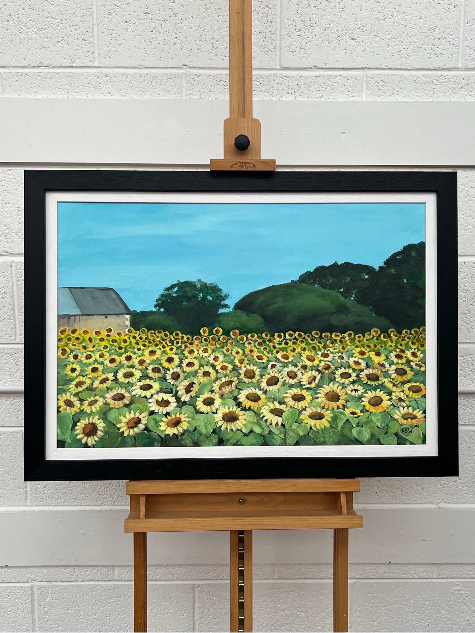 Field of Sunflowers in Summertime in France II by Contemporary British Artist - 11