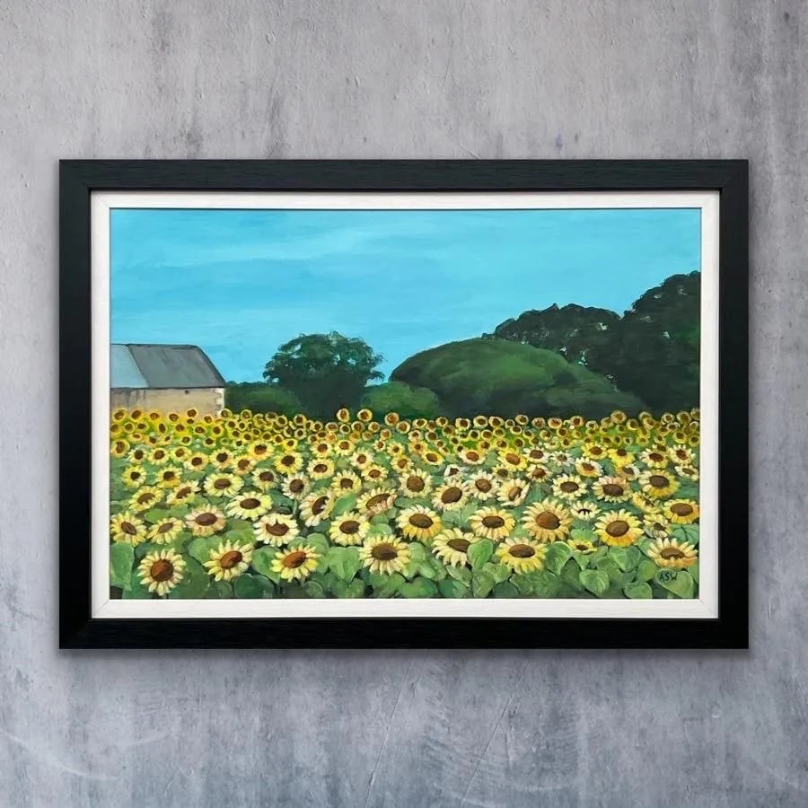 Field of Sunflowers in Summertime in France II by Contemporary British Artist - 5