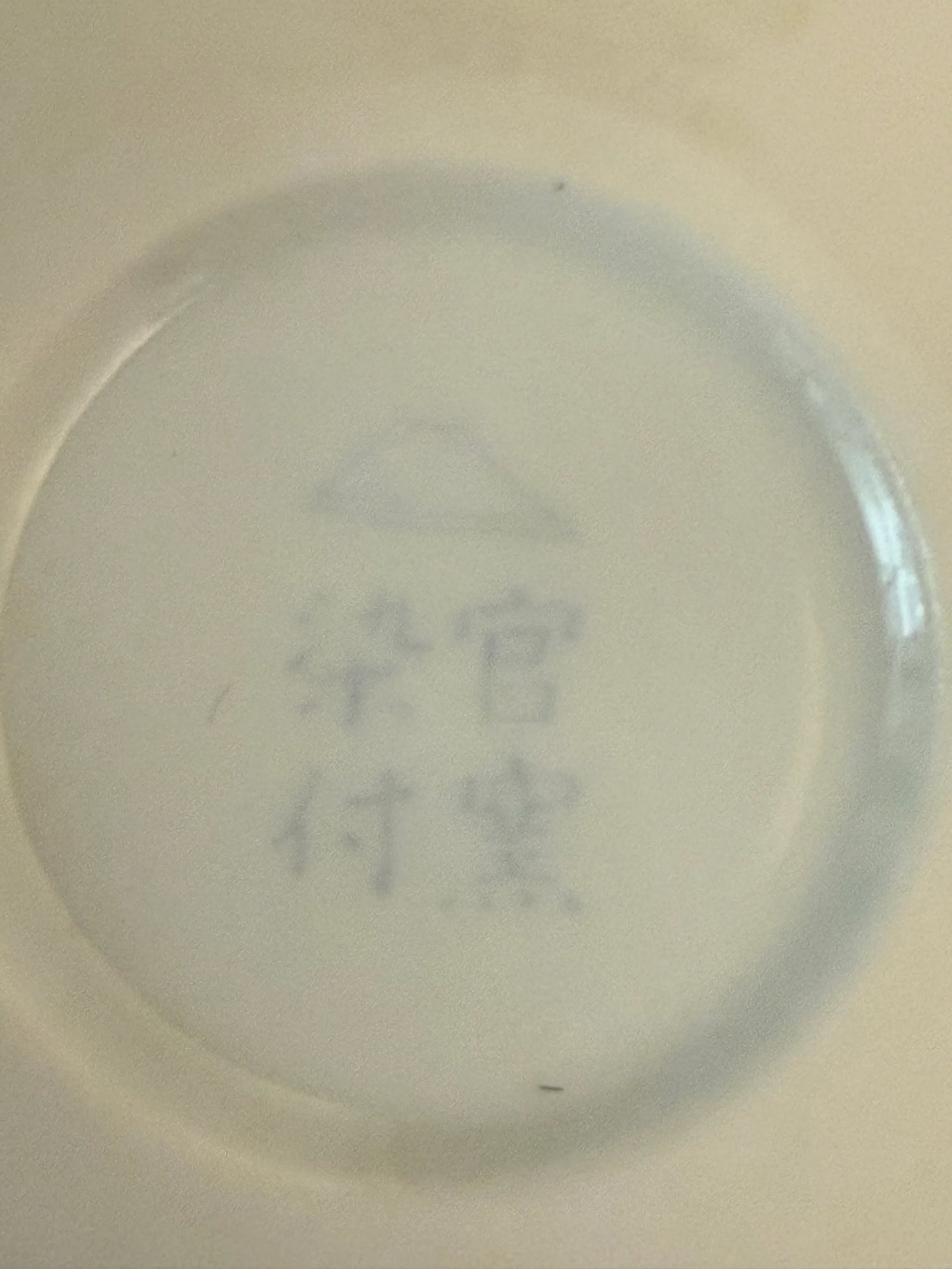 Late 20th Century Fukagawa Japanese Porcelain Wisteria Vase - 9