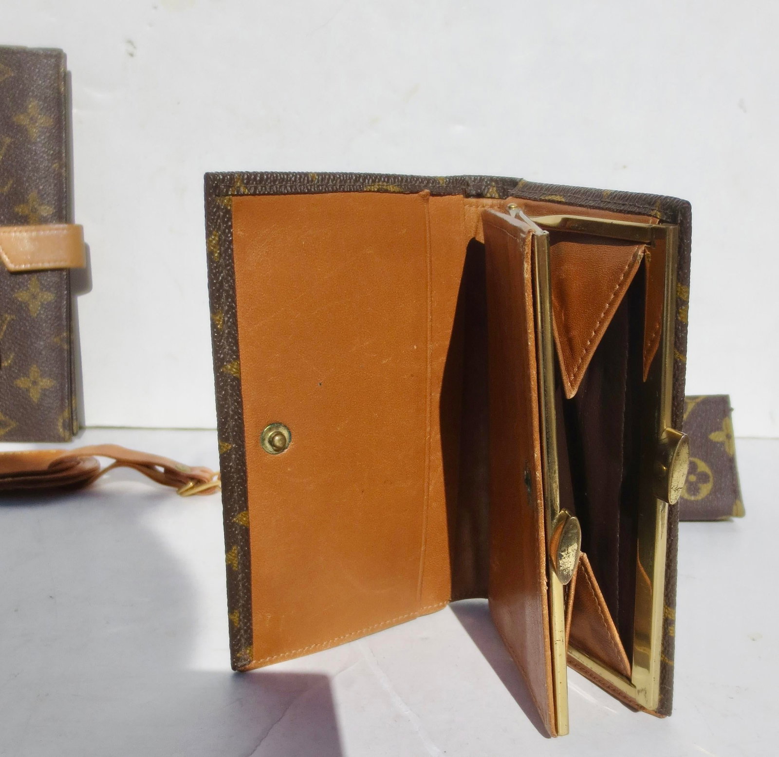 Louis Vuitton Group of 5 Purses- Group of 5 - 6